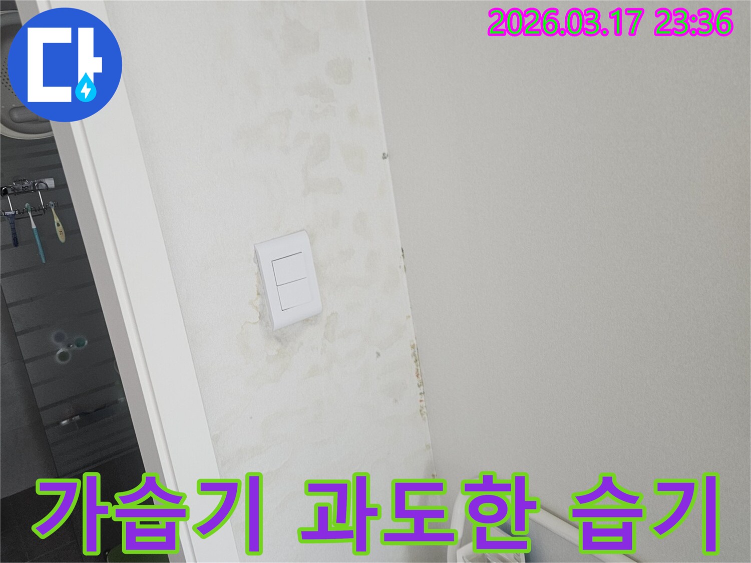 스위치-주변-벽면의-젖음이-가습기-또는-가습-시스템의-과도한-습기-유발로-인한-것인지-확인하고-실내-환경을-개선하는-모습입니다.