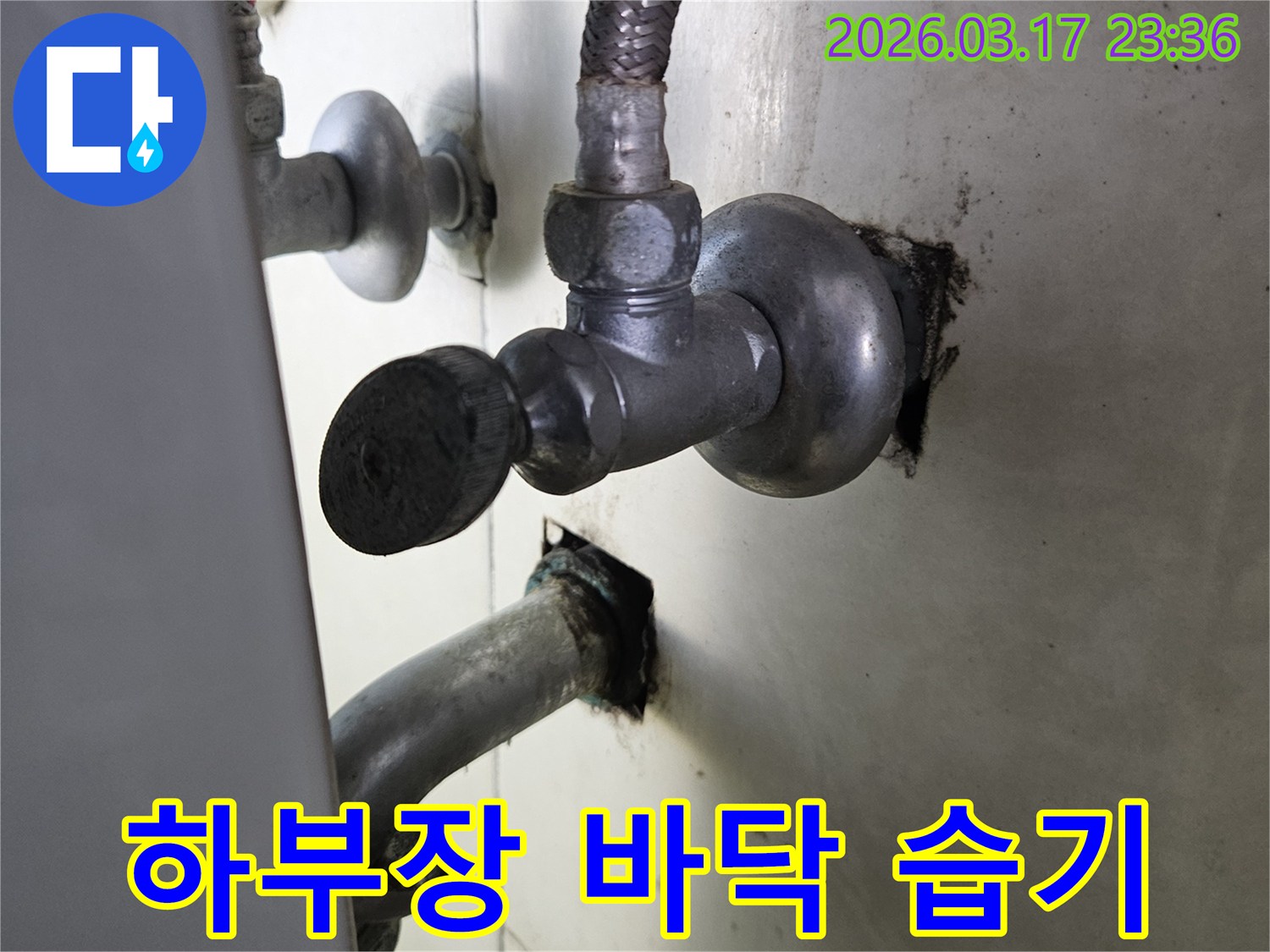 싱크대 하부의 누수로 인해-하부장 바닥에 습기가 침투하여-젖어 있는 현장입니다.