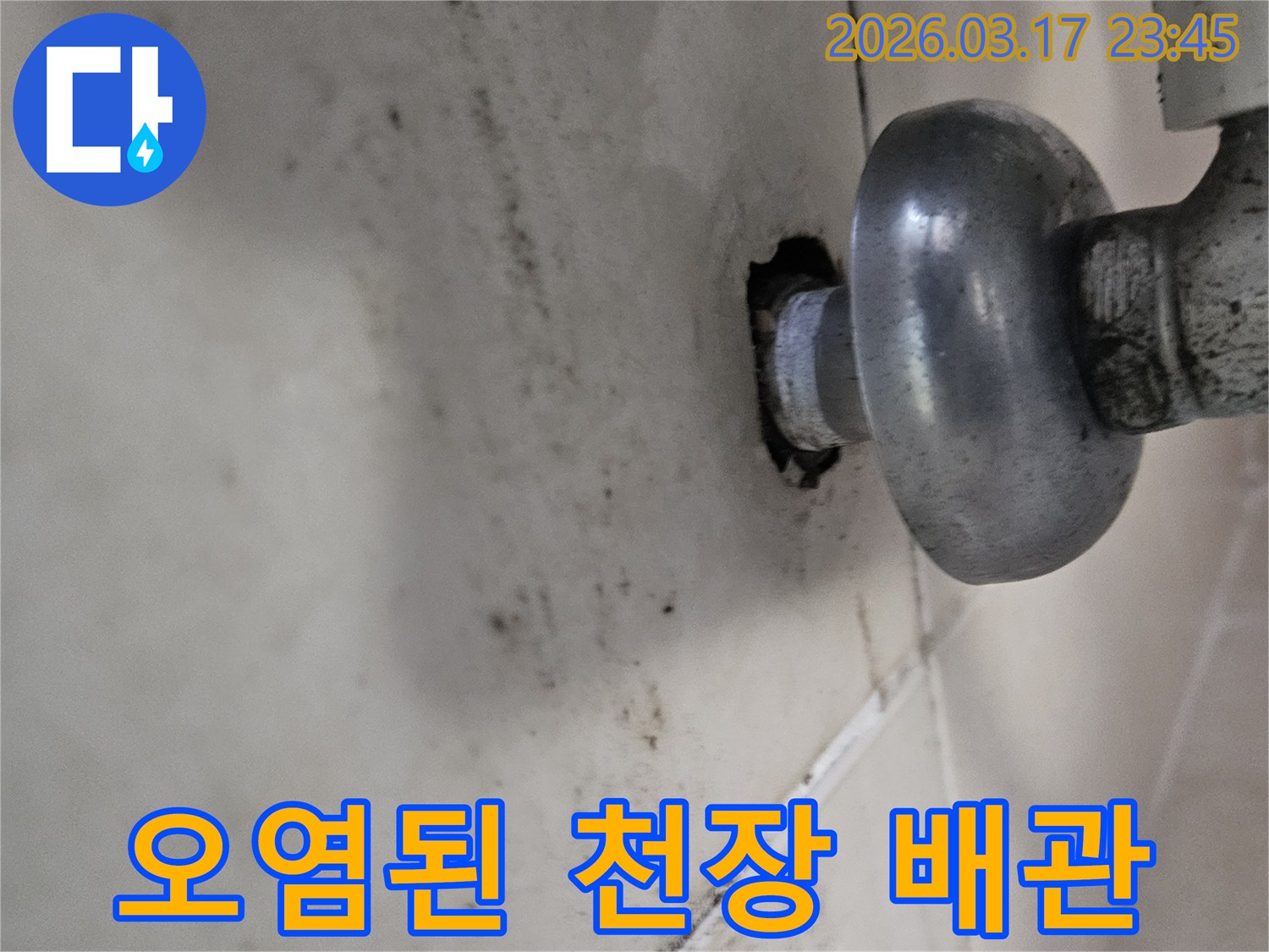 오래된 배관 주변에서 물이 새어-천장 타일이 심하게 오염된 모습입니다