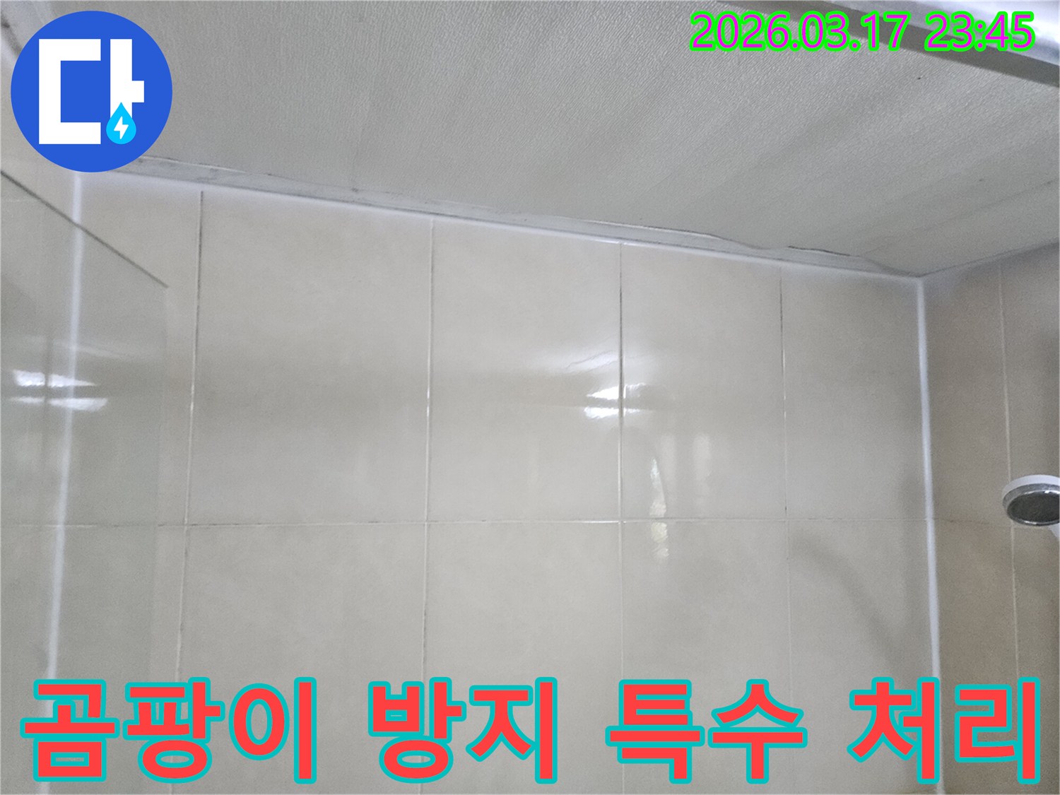 욕실-누수-현장에서-천장과-타일-벽면의-이음새에-곰팡이-방지-특수-처리를-진행하는-모습입니다