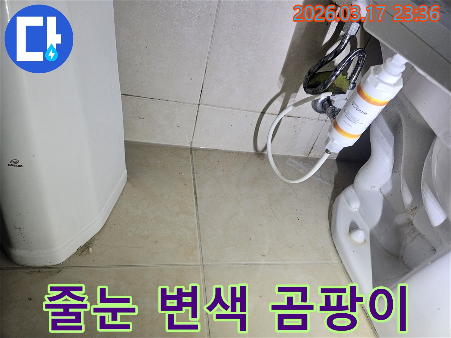 이 이미지는-욕실 바닥 타일의 줄눈 부분에-지속적인 습기로 인해-검은 곰팡이가 피어오른 모습을-선명하게 보여줍니다.