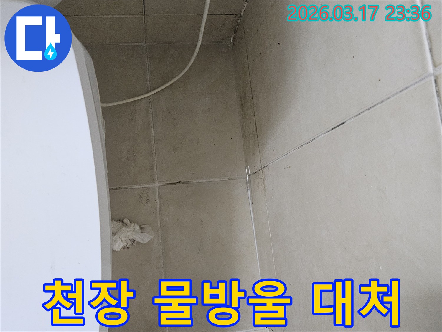 이 이미지는-천장-타일-틈새와-벽면-모서리에-발생한-물방울과-곰팡이를-보여주며-이는-누수로-인한-지속적인-습기-침투를-의미합니다