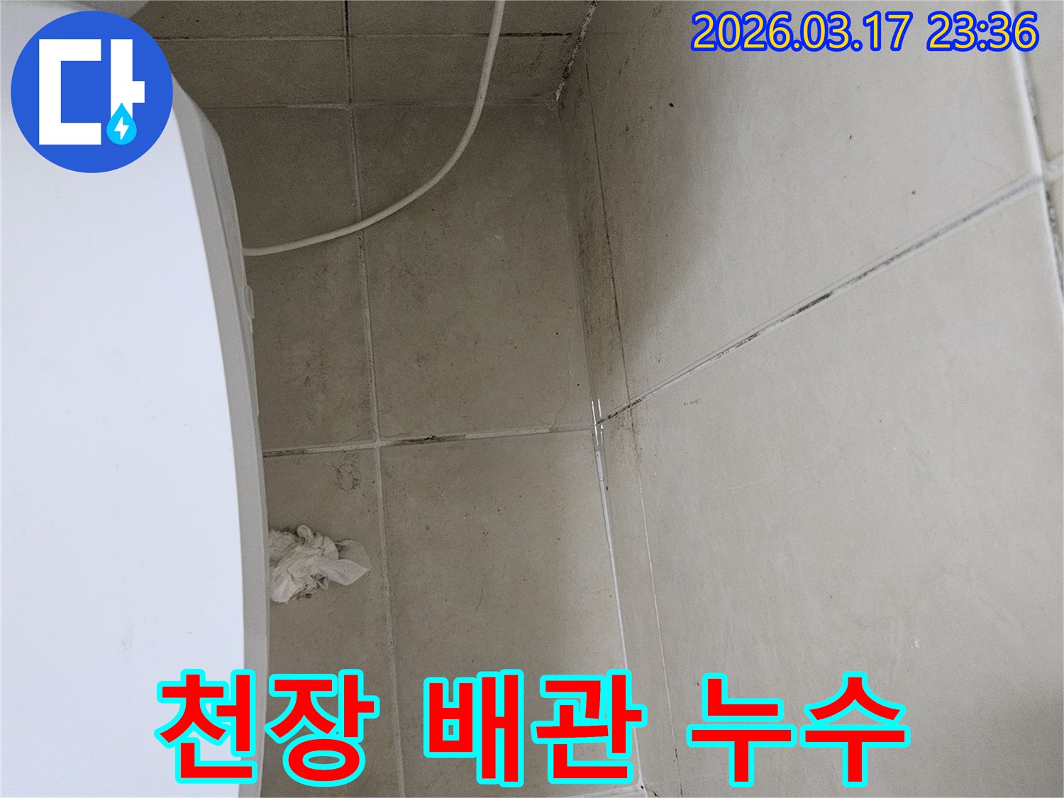이 이미지는-천장-타일과-벽면-모서리에-나타난-검은-오염과-곰팡이를-보여주며-이는-배관-누수로-인한-지속적인-물샘-현상을-의미합니다