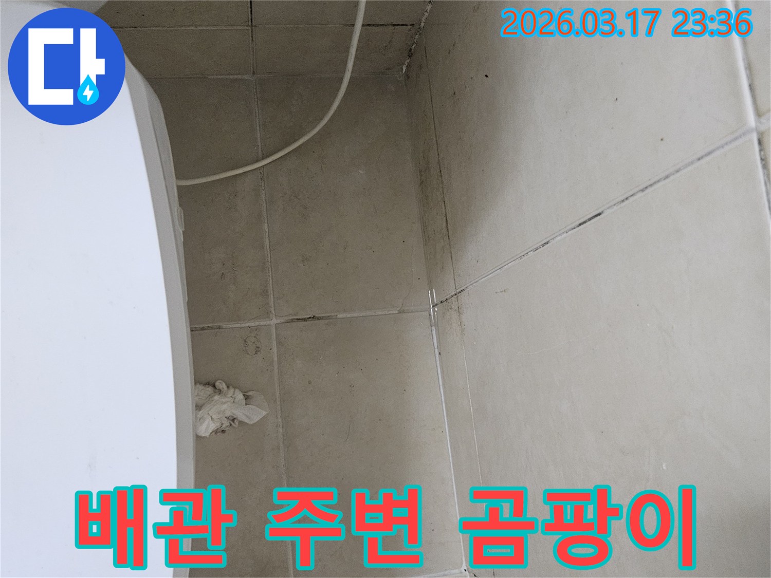 이 이미지는-천장-타일과-벽면-모서리에-발생한-검은-곰팡이를-보여주며-이는-배관-누수로-인한-지속적인-습기-침투가-원인임을-시사합니다