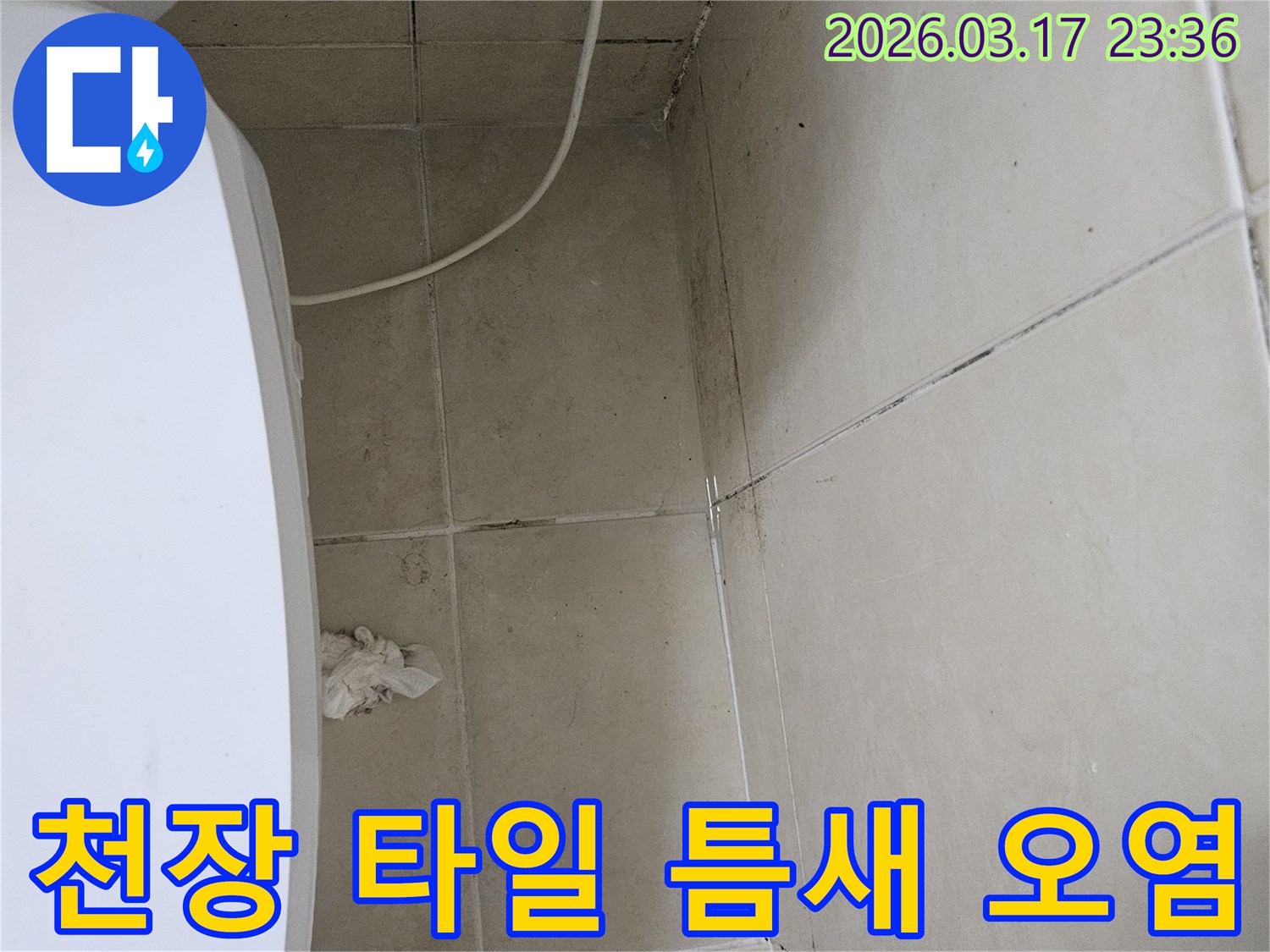 이-이미지는-천장-타일의-틈새와-그-주변에-발생한-검은-오염과-곰팡이를-보여주며-이는-누수로-인한-지속적인-습기-침투를-의미합니다