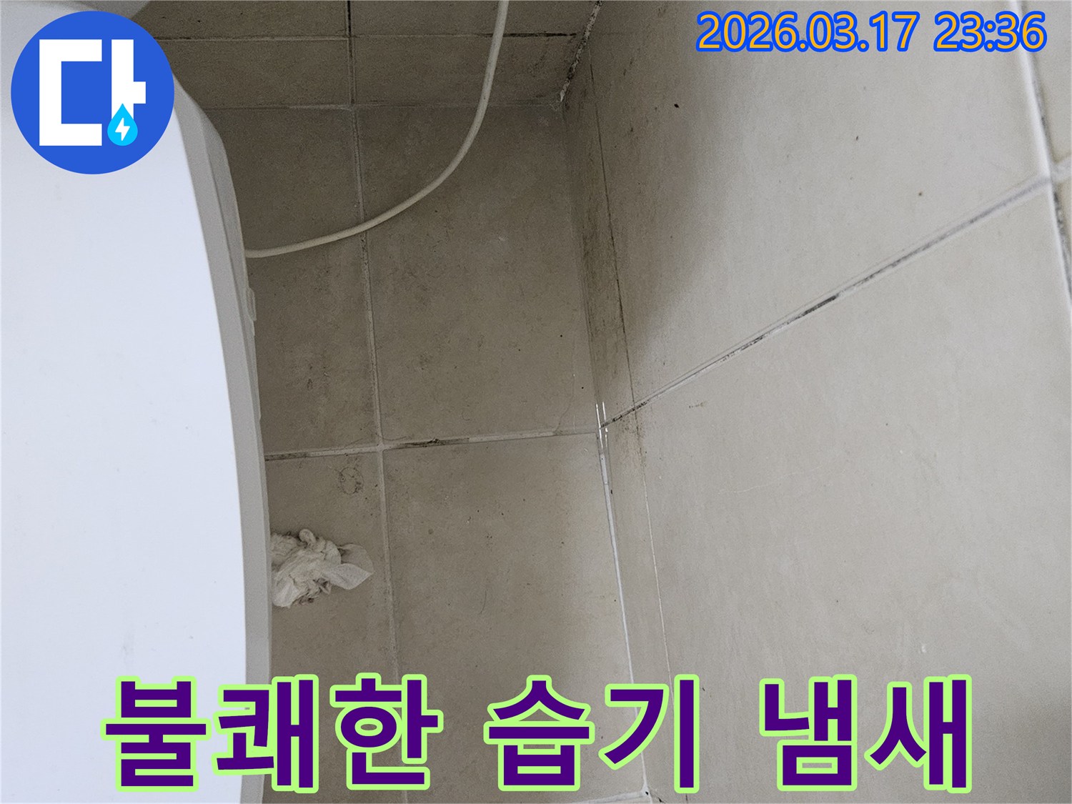 이-이미지는-천장과-벽면-타일의-광범위한-곰팡이와-오염을-보여주며-이는-누수로-인한-지속적인-습기로-인해-발생하는-불쾌한-냄새와-불쾌한-환경을-시사합니다