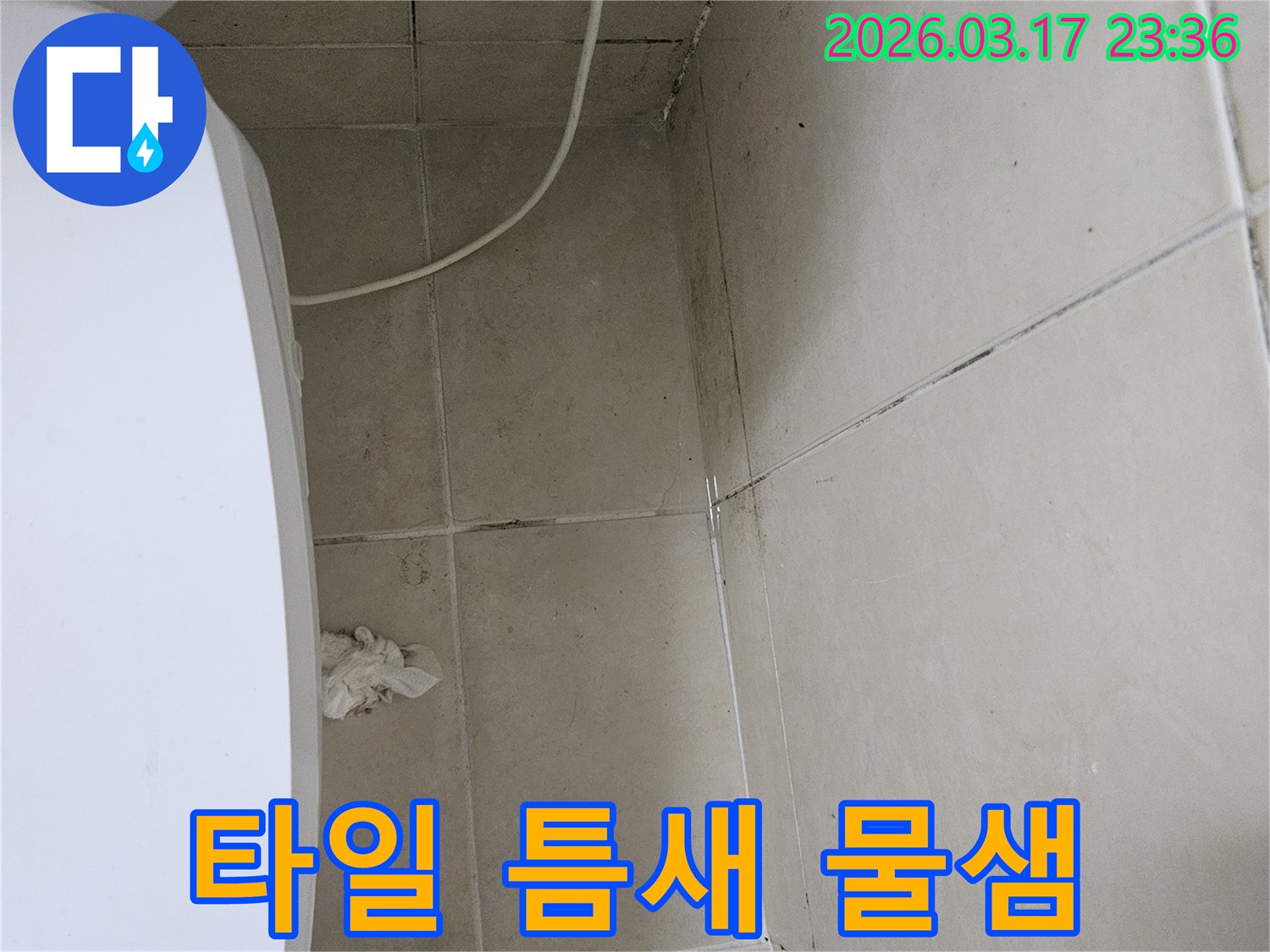 이 이미지는-천장과-벽면-타일의-이음새-부분에-발생한-검은-물때와-곰팡이를-보여주며-이는-타일-틈새를-통한-누수-가능성을-강하게-시사합니다