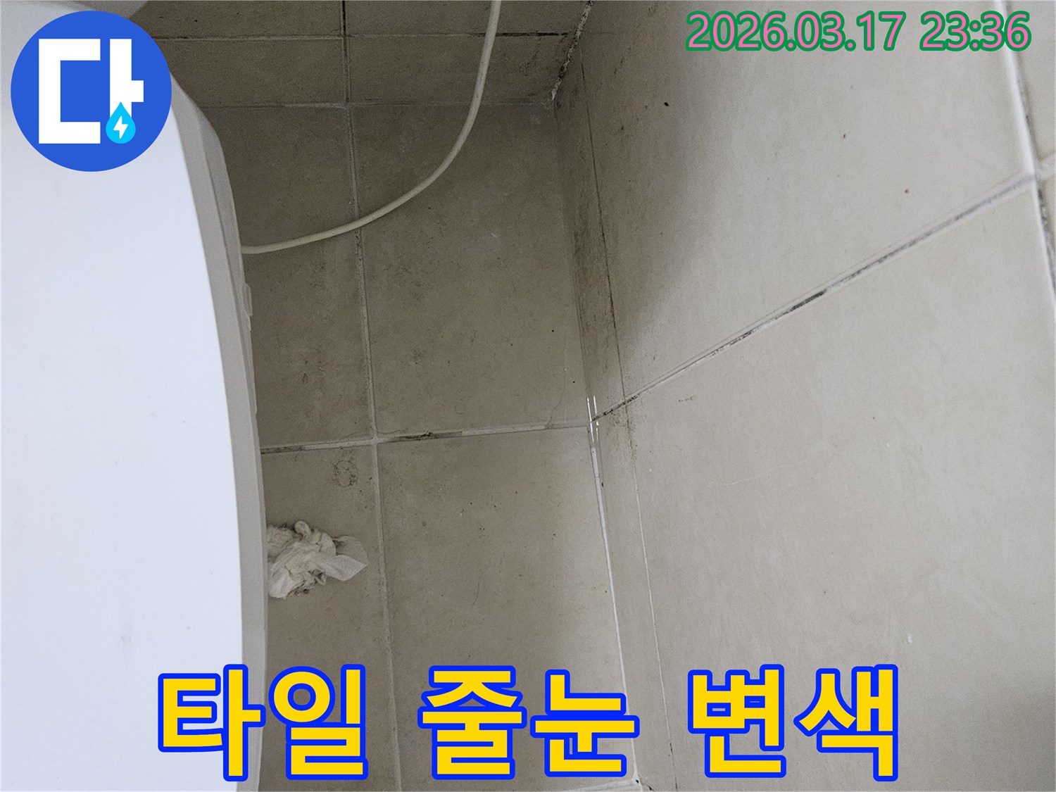 이-이미지는-천장과-벽면-타일의-줄눈이-검게-변색되고-곰팡이가-번진-모습을-보여주며-이는-줄눈을-통한-누수-가능성을-강하게-시사합니다