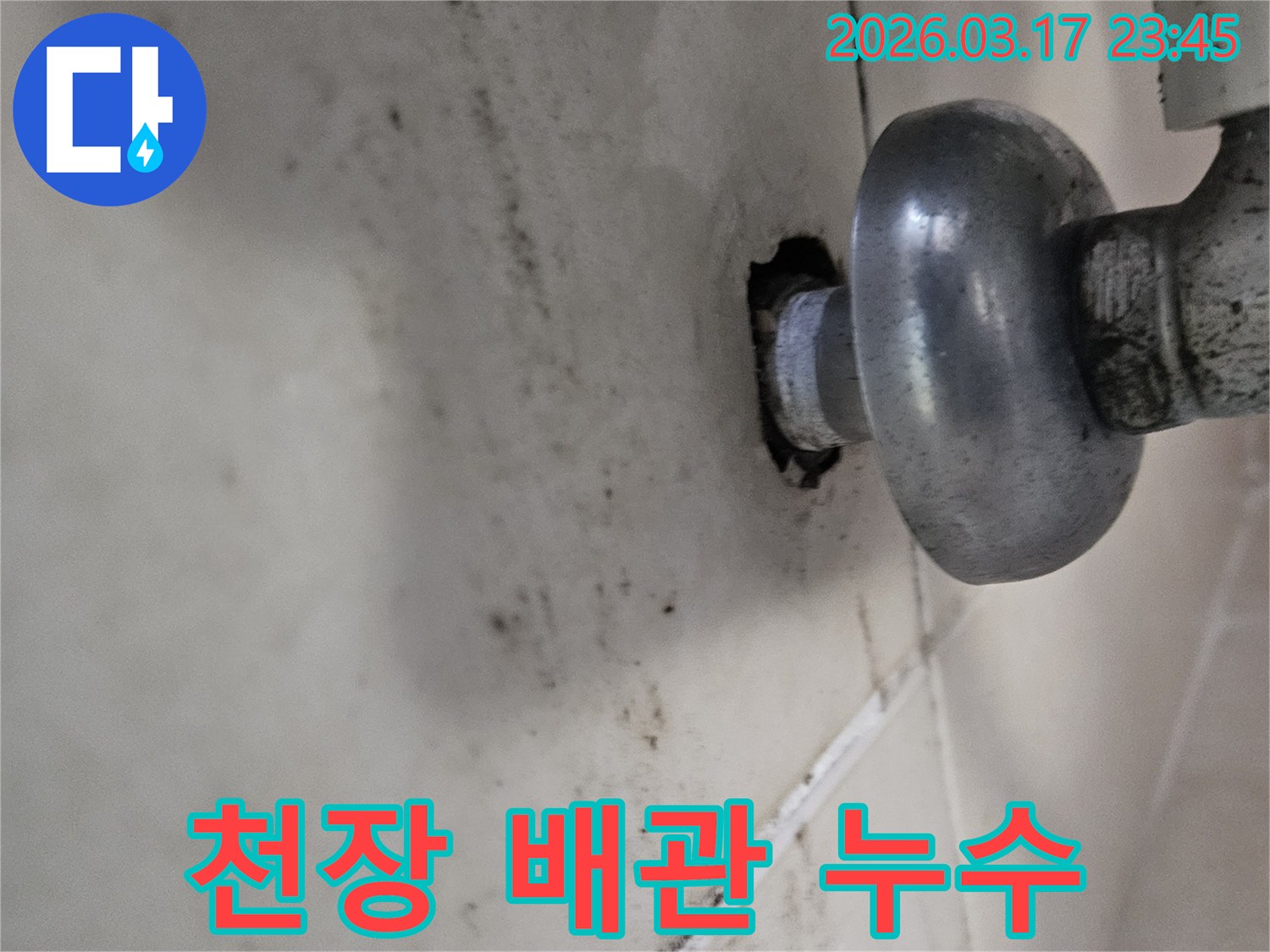 천장 배관 연결부에서 물이 새어-곰팡이와 물때가 심하게 발생한 모습입니다
