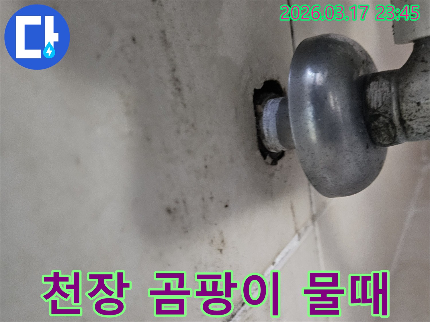 천장 배관 주변에 오래된 누수로-심각하게 번진 곰팡이와 물때가 보입니다