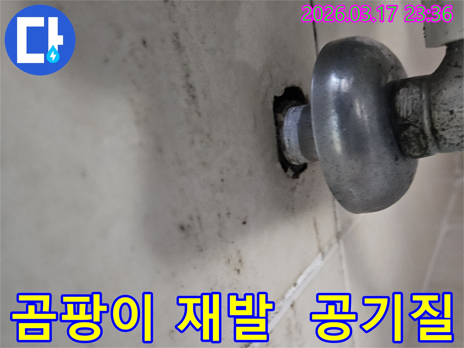 천장-배관에서-발생한-누수로-인해-오염된-벽면과-곰팡이-재발-방지-및-공기질-개선이-필요한-배관-모습