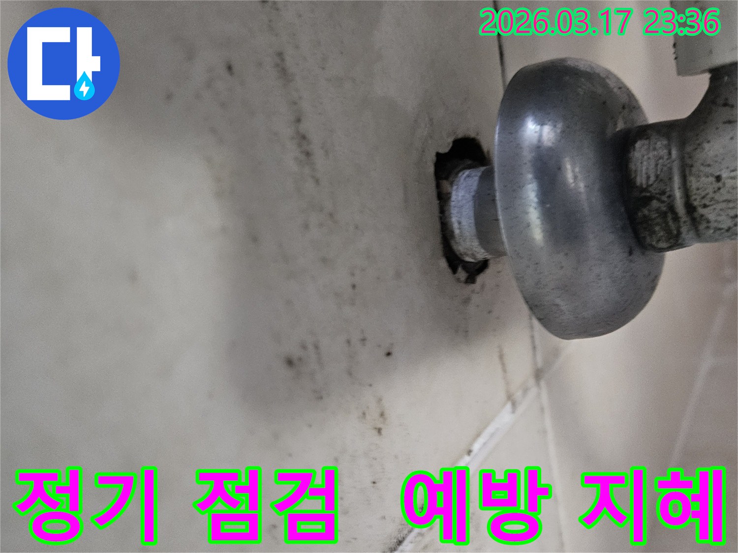 천장-배관에서-발생한-누수로-인해-오염된-벽면과-누수-재발을-미리-막기-위한-정기-점검-서비스-모습