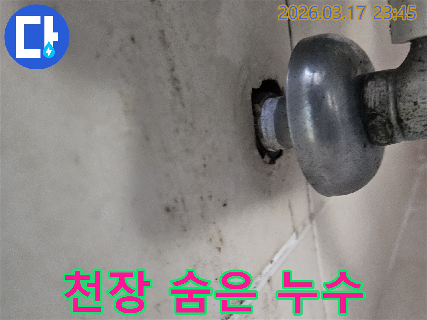 천장에서 발견된 누수 흔적-오랜 기간 방치되어 곰팡이가 심하게 번져있습니다