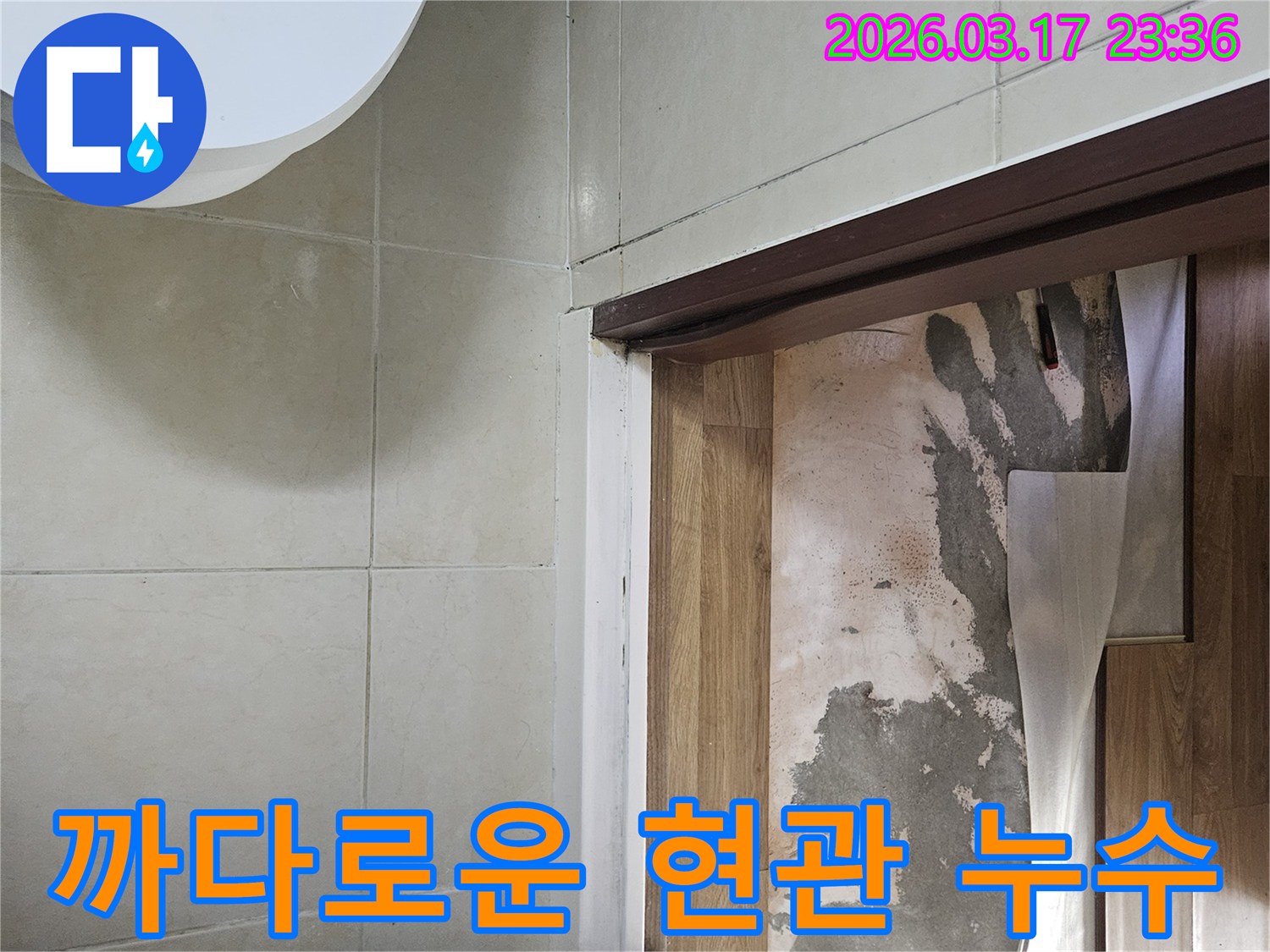 현관 바닥의-마감재를 제거하고-하부 콘크리트의-습기 유무와-구조적 특성을-다각적으로 점검하며-누수 원인을-파악하고 있습니다.