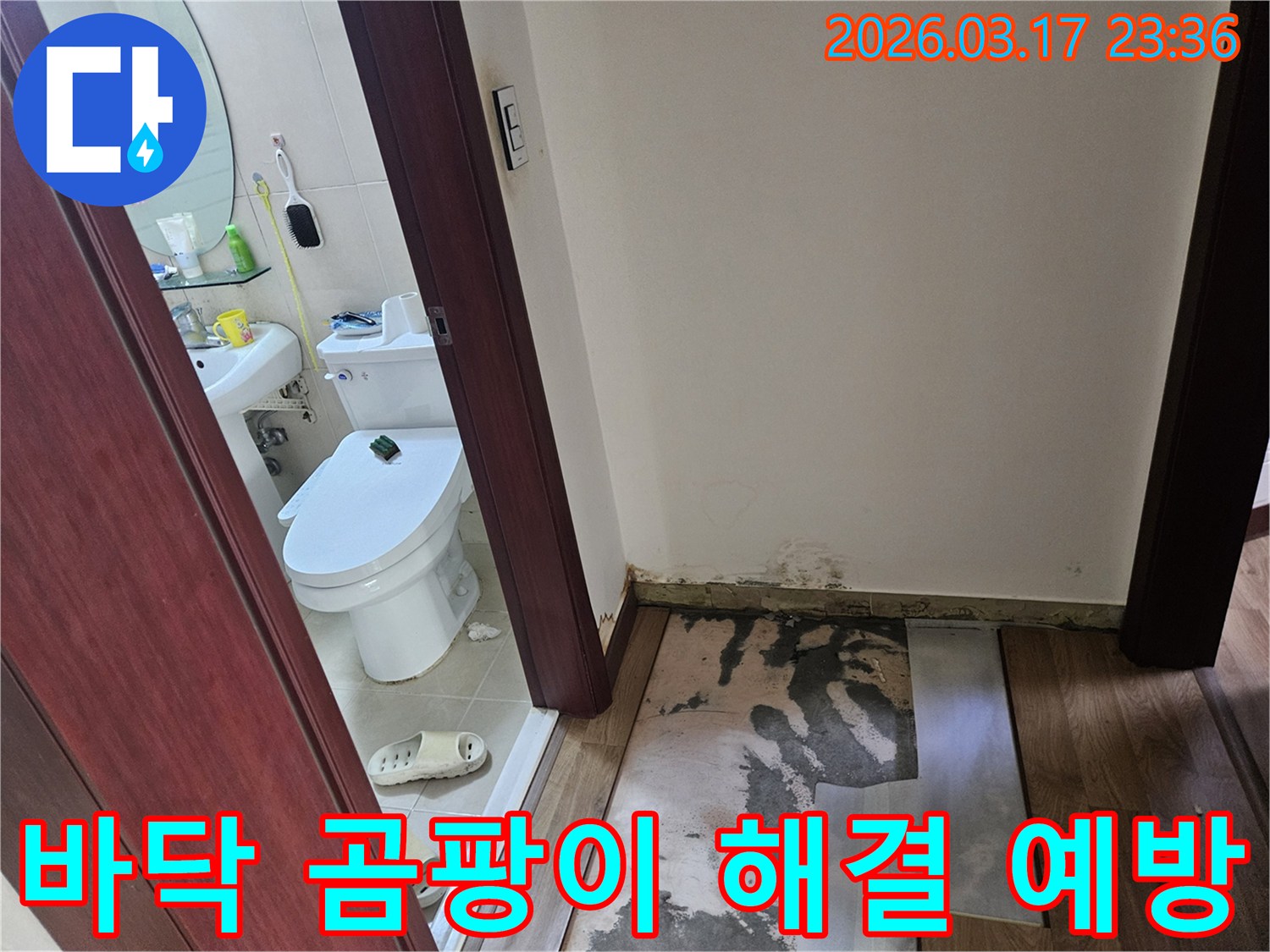 화성 병점 아파트-화장실 입구 바닥에-누수로 인한 곰팡이가-발생하여 바닥재가-제거된 현장 사진입니다