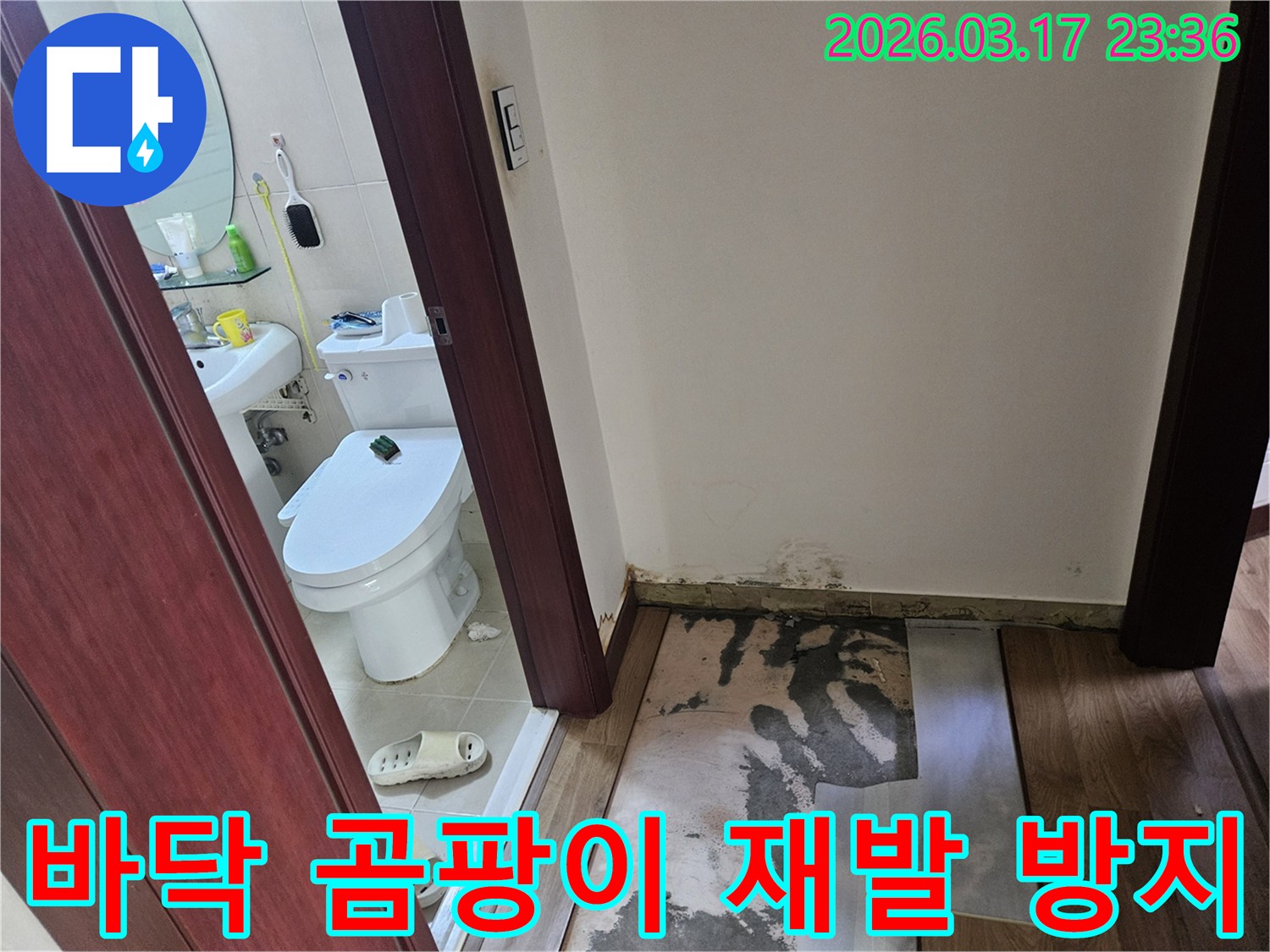 화성 병점 아파트-화장실 입구 바닥에-누수로 인한 곰팡이가-발생하여 바닥재가-제거된 현장 사진입니다