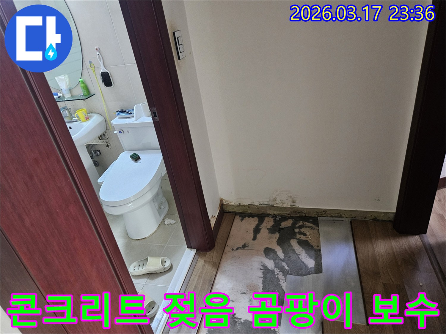 화성 병점 주택의-화장실 입구 바닥재를-제거하자 드러난-젖은 콘크리트와-벽면 하단의-누수 곰팡이 현장입니다