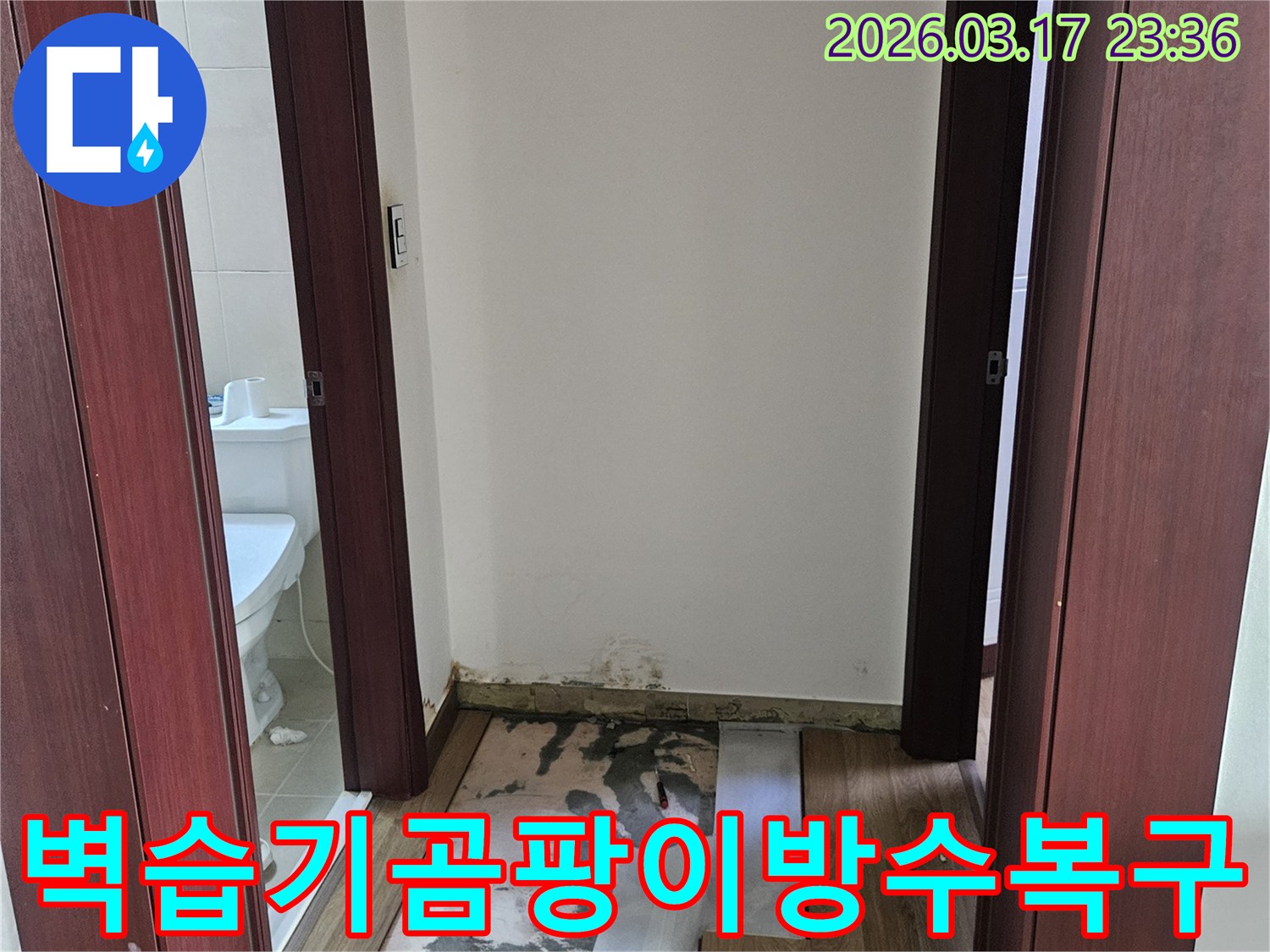 화성시 누수 현장에서-욕실 벽면 습기와 곰팡이의 근본 원인을 제거하고-방수층을 전면 재시공한 후 타일 복구하기 위해-벽을 개방한 모습입니다.