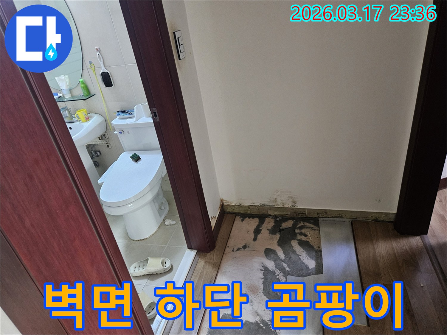 화장실 입구 벽면 하단에-누수로 인한-심각한 곰팡이가 발생하여-바닥재가 제거된-현장 사진입니다