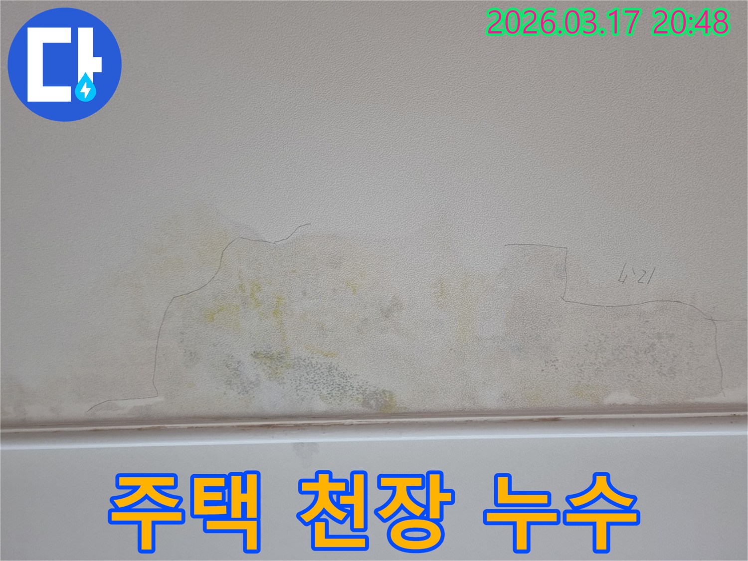누수 문제로 천장이 손상된 모습-물얼룩과 곰팡이가 번져있어-전문가의 도움이 필요합니다