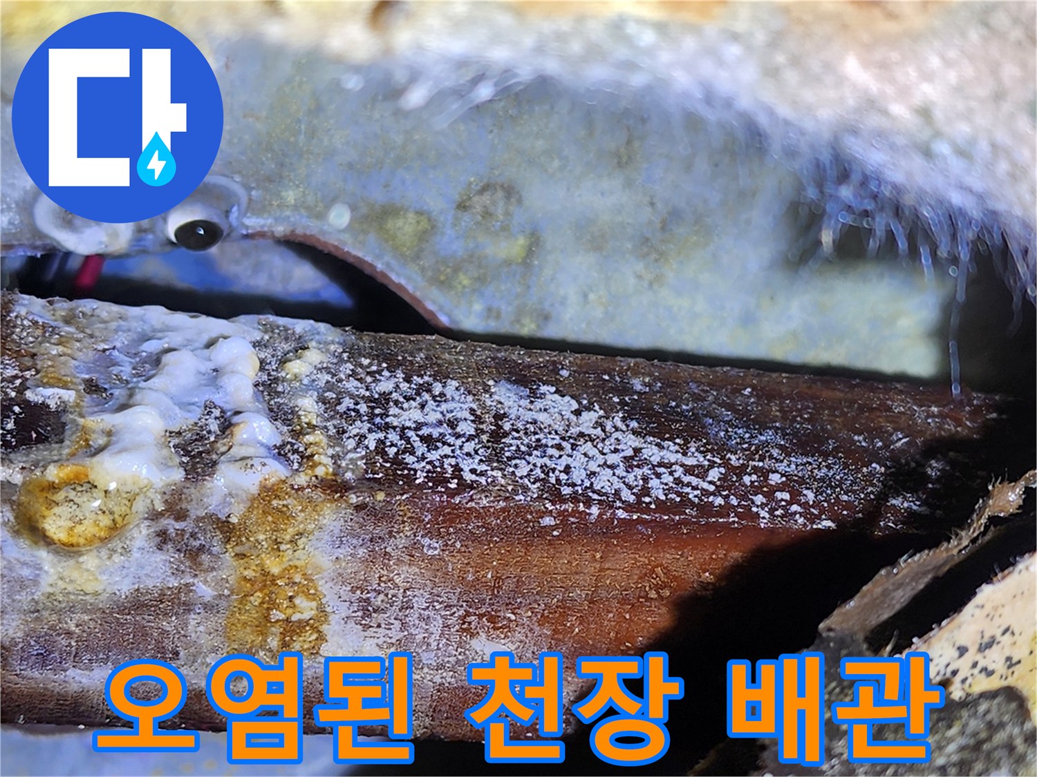 습기에 노출된 천장재-하얀 백화와 곰팡이가 발생한 배관 주변 부위