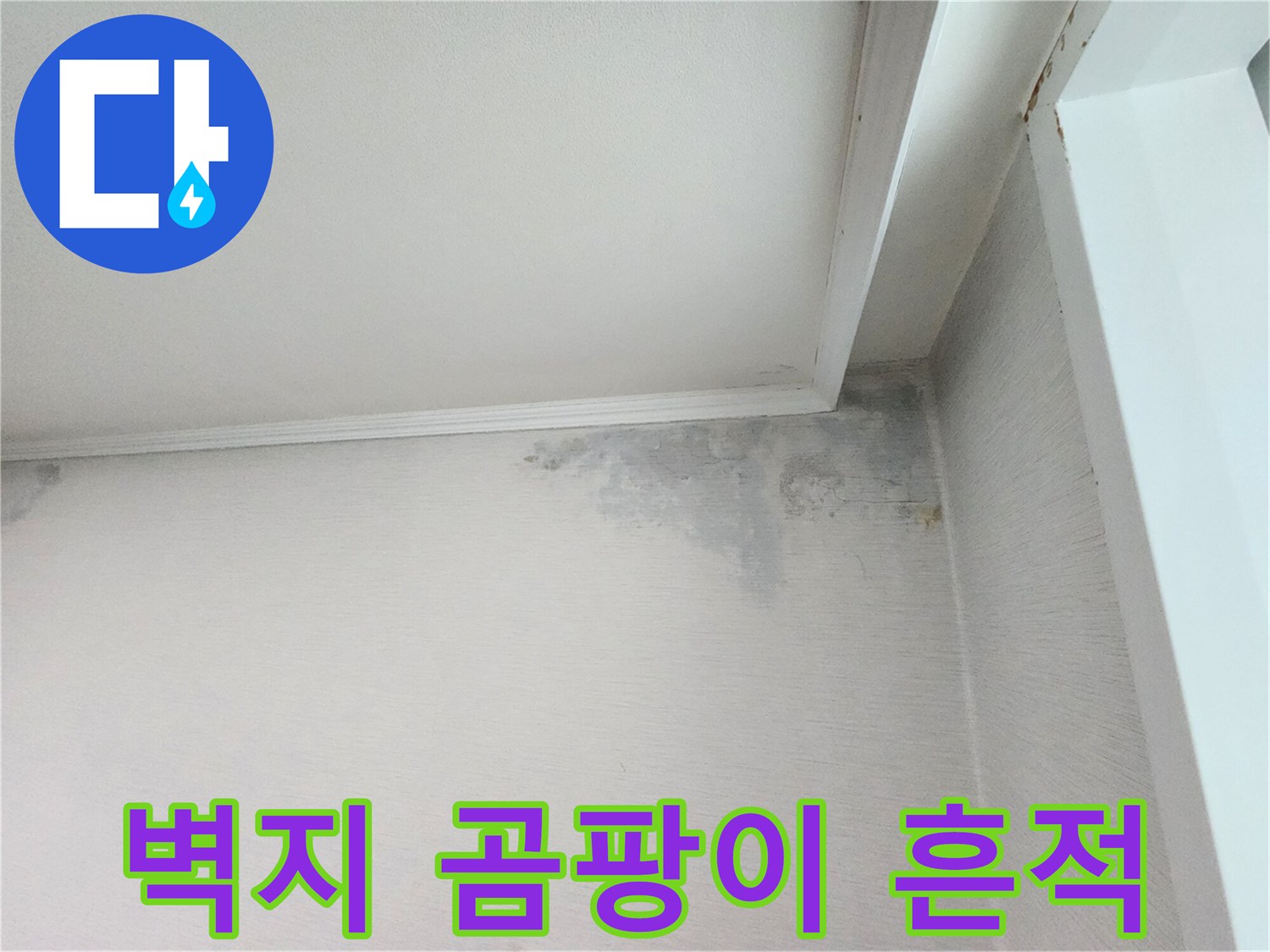 정자동 아파트 내부 - 천장 구석 벽면의 누수 및 곰팡이 오염 상태