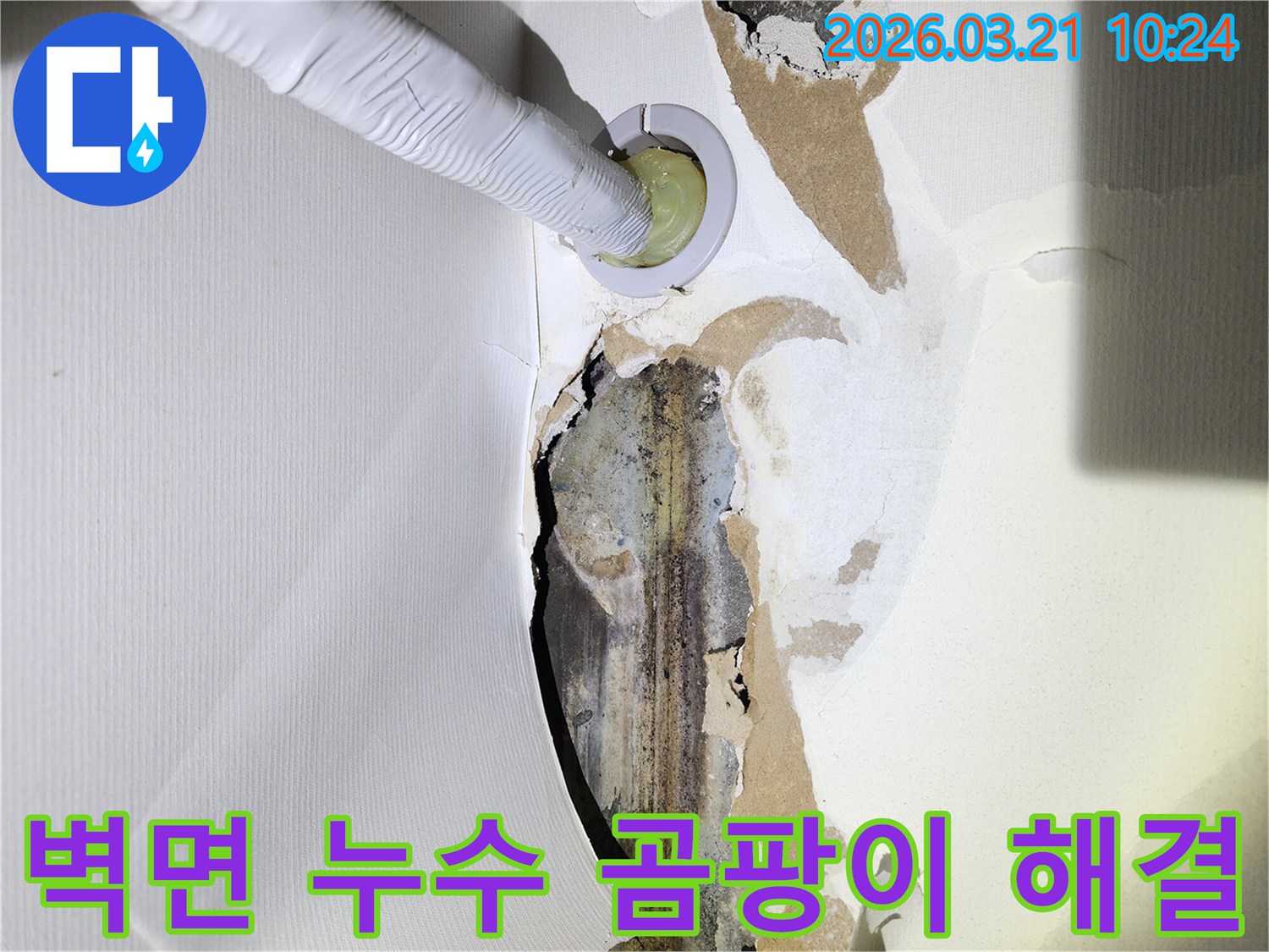 누수로-인해-벽지가-손상되고-곰팡이가-피어있는-주택-벽면에-누수-탐지-장비가-삽입된-모습