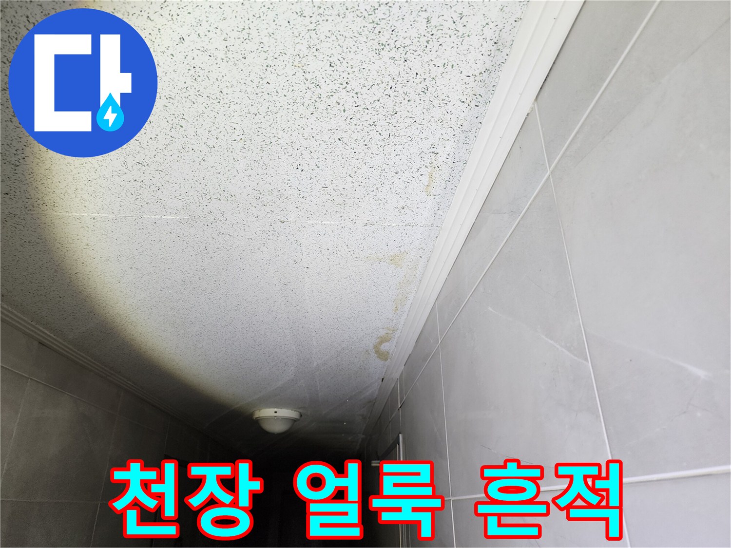 성동구 사근도 복도 천장의 누수 흔적 및 습기 발생 부위