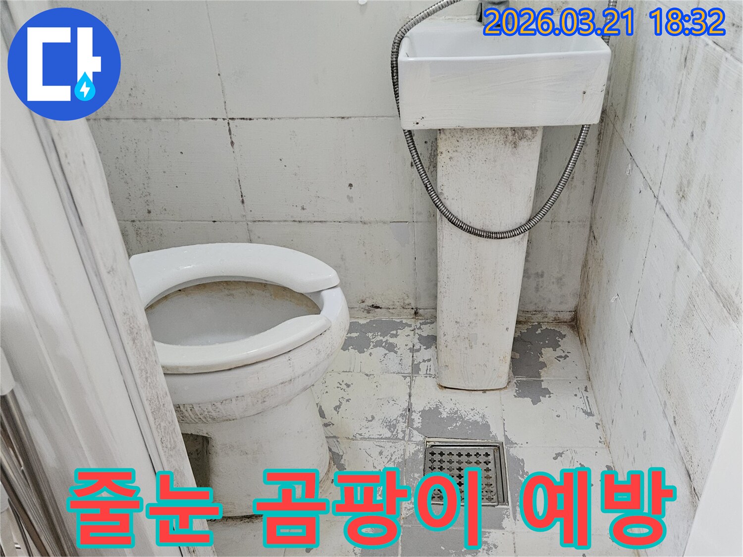 화장실 타일 줄눈에-누수로 인한-곰팡이가 발생하여-예방 조치가 필요한 현장입니다.
