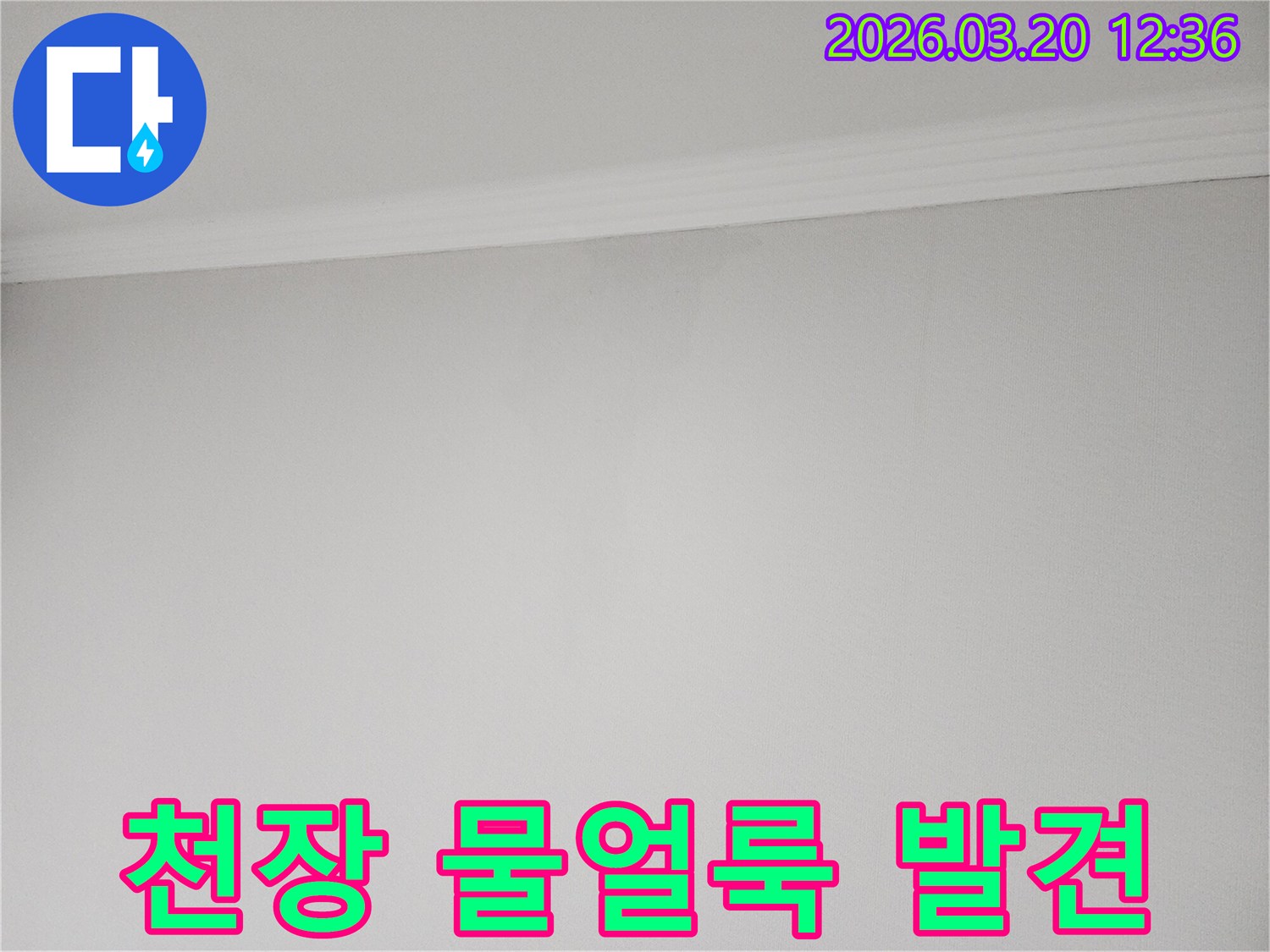 천장-몰딩-아래-부분에-생긴-미묘한-물얼룩-사진