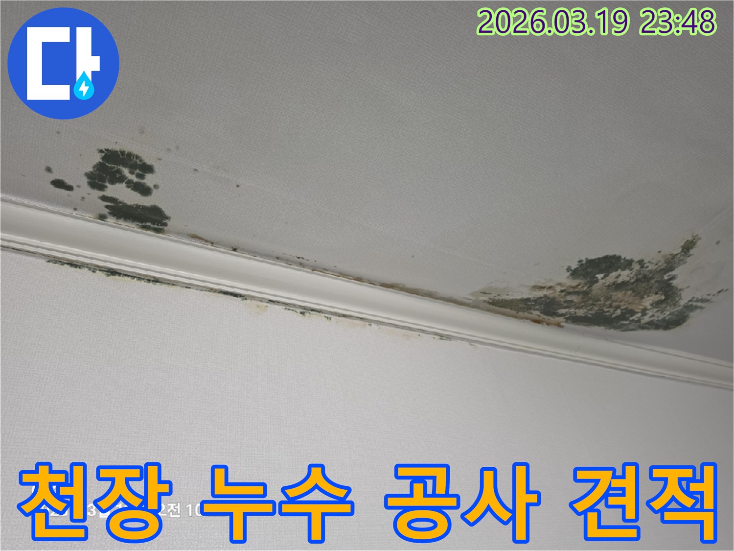 천장-누수-피해-곰팡이와-물얼룩-발생-모습-합리적인-공사-견적-상담-필요