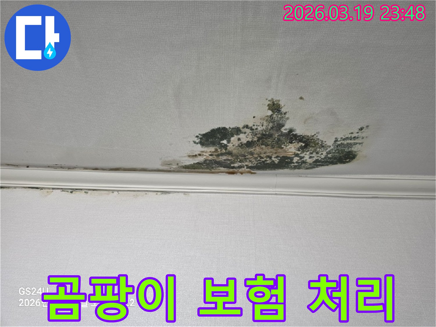 천장-벽지에-발생한-심각한-누수-곰팡이-오염-현장으로-보험-처리가-가능한지-확인이-필요한-상태
