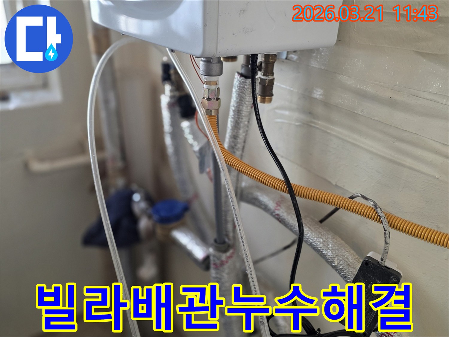 빌라-누수-현장에서-복잡한-배관-연결부를-면밀히-살피며-누수-지점을-찾는-전문가