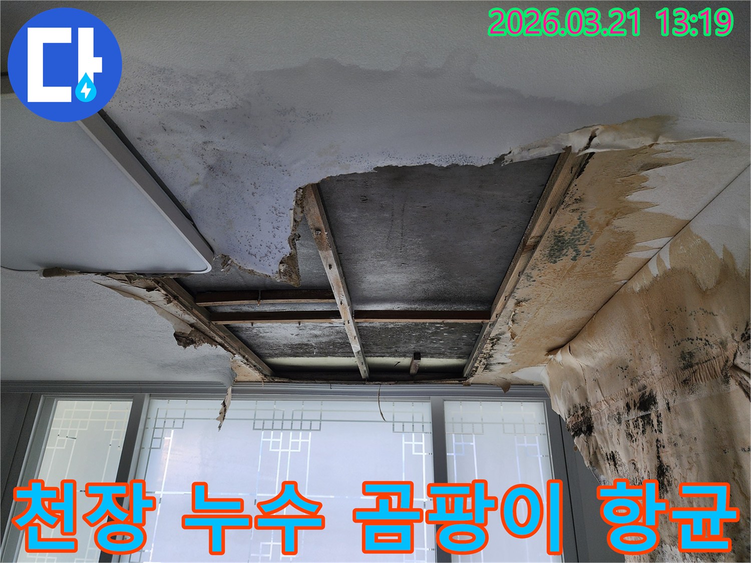 누수로-인해-천장에-번식한-곰팡이를-제거하고-항균-처리하는-전문-작업