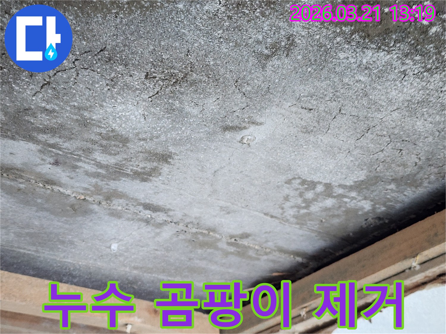 천장에 발생한 누수로 인한-곰팡이와-물 자국을-제거하고-복구하는-과정을-보여줍니다.
