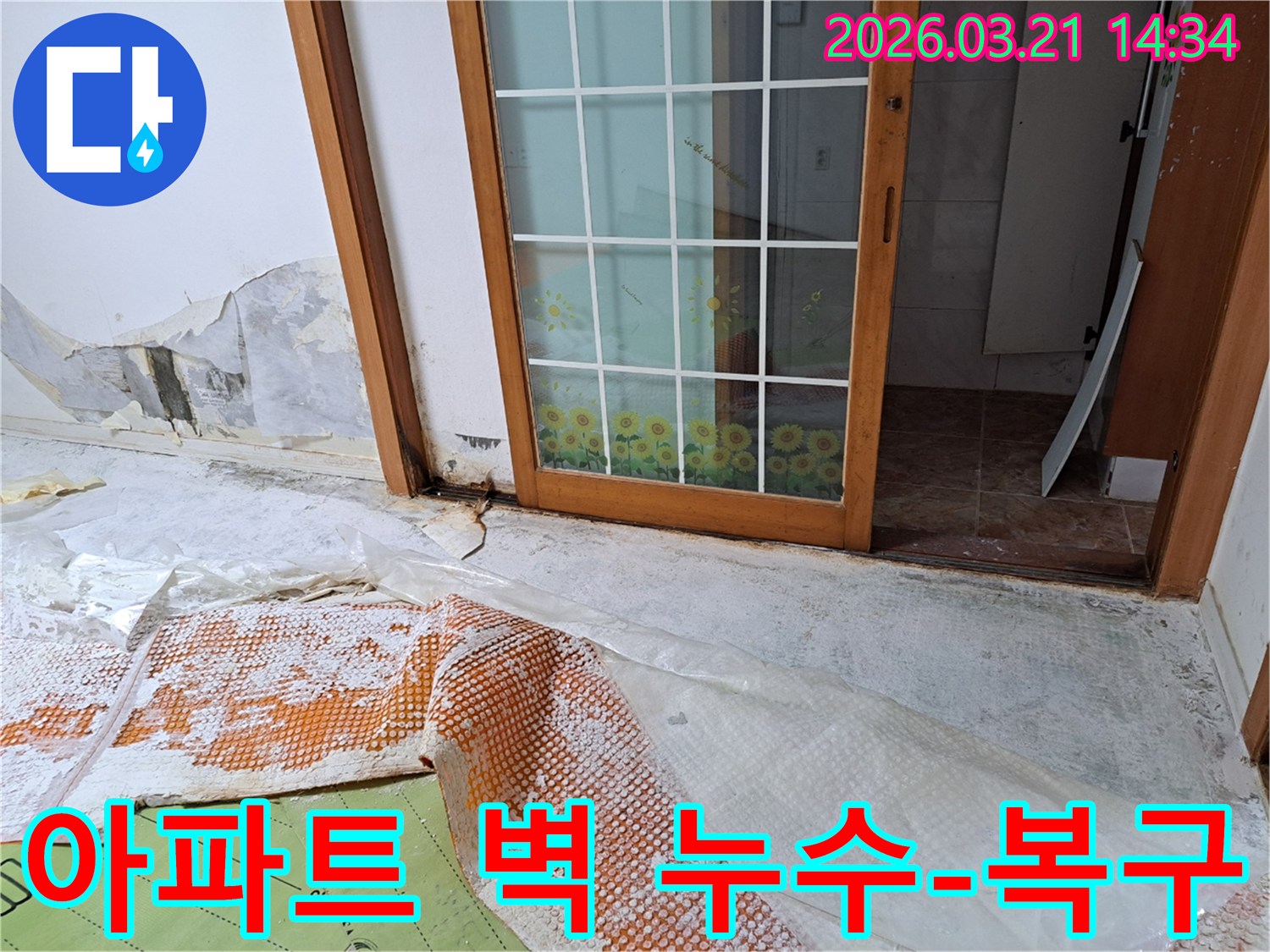 금천구 아파트에서 발생한 벽면 누수로-벽지가 심하게 손상되고-곰팡이가 번식한 현장과-복구 작업을 위한 바닥 보호 조치입니다.