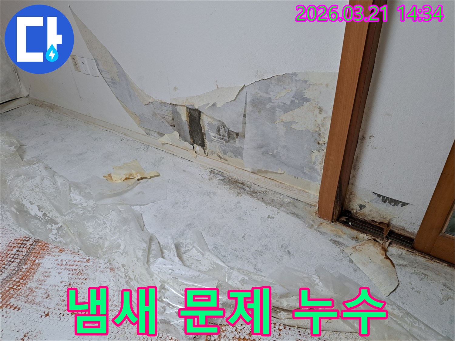 누수로-인해-벽지가-손상되고-곰팡이가-번식하여-불쾌한-냄새가-나는-현장