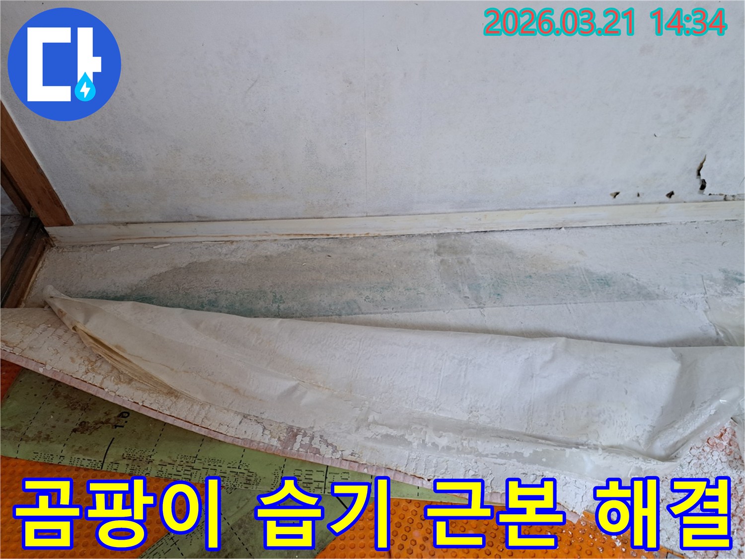 벽면 하단에 발생한 곰팡이와-바닥 습기를 통해-누수 문제를 근본적으로 해결하는 공사 현장입니다.