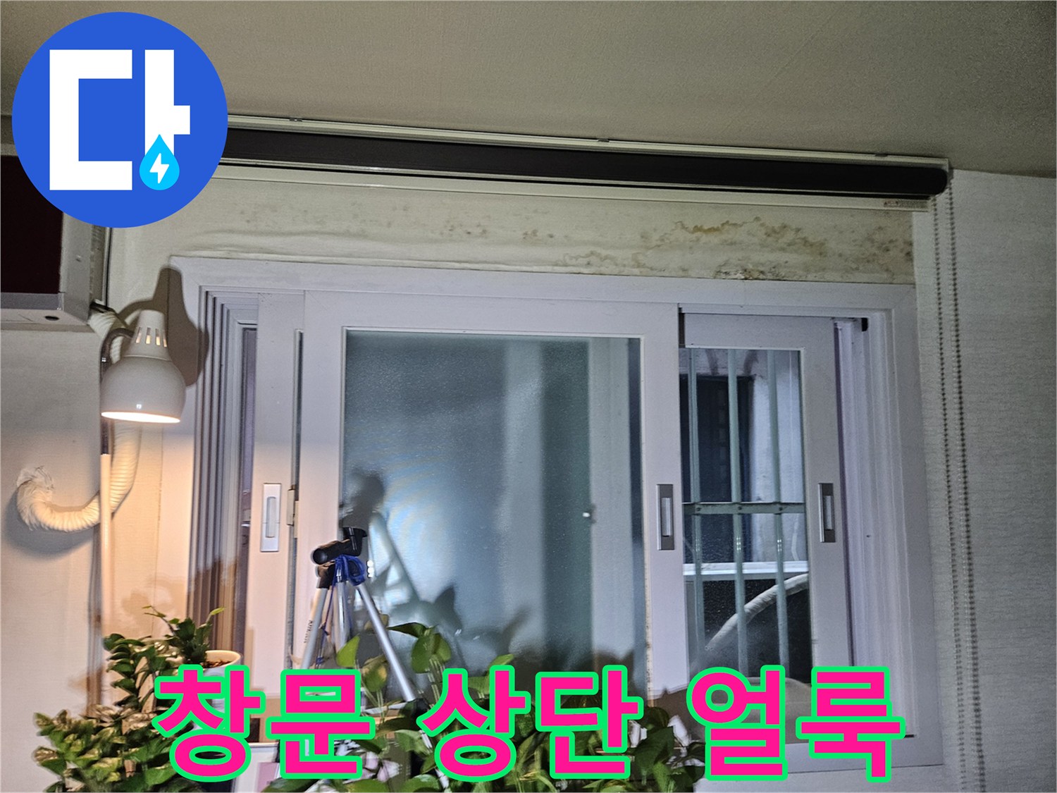 창틀 프레임-상단 천장부의 곰팡이와 습기 흔적