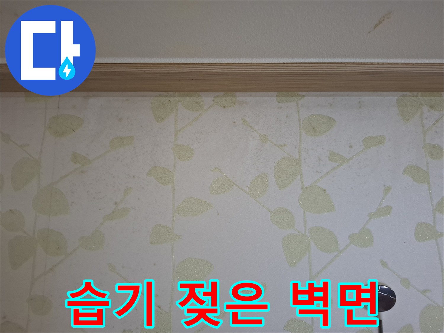 곰팡이가 번진 벽지 하단부 모습