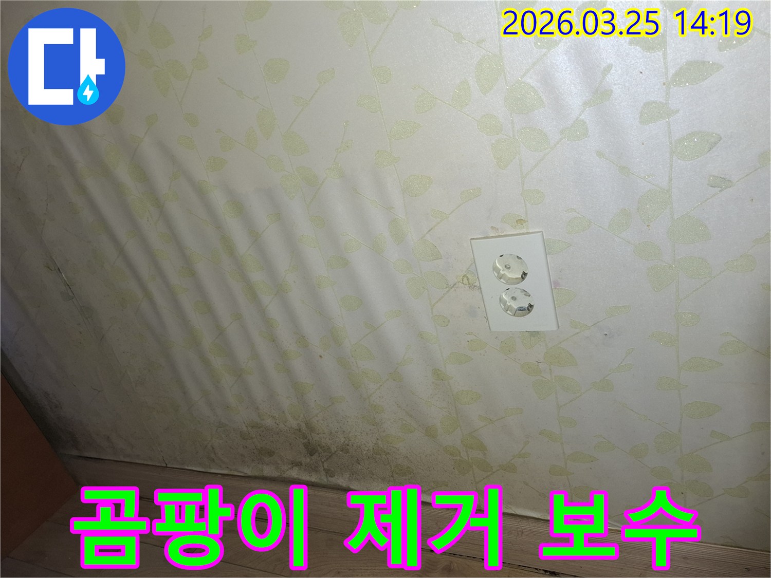 벽지 곰팡이로 인한 누수 피해를-전문적으로 제거하고 보수하는 과정
