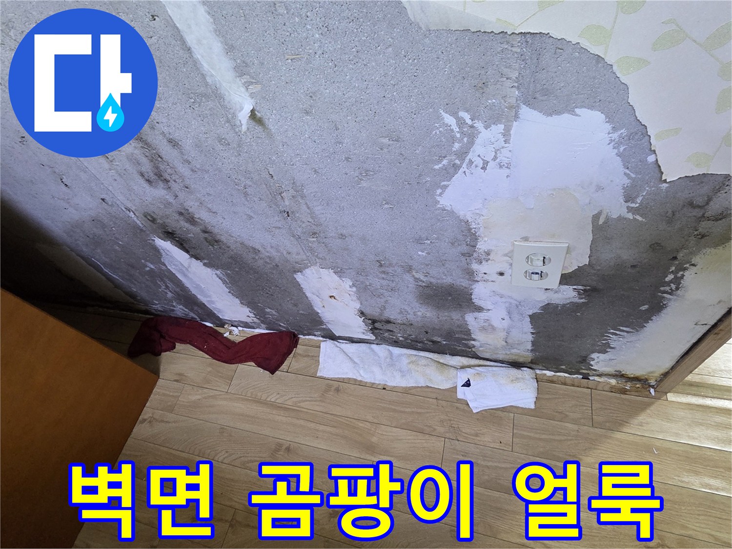 벽지 제거 후 드러난-벽면의 곰팡이와 습기 흔적