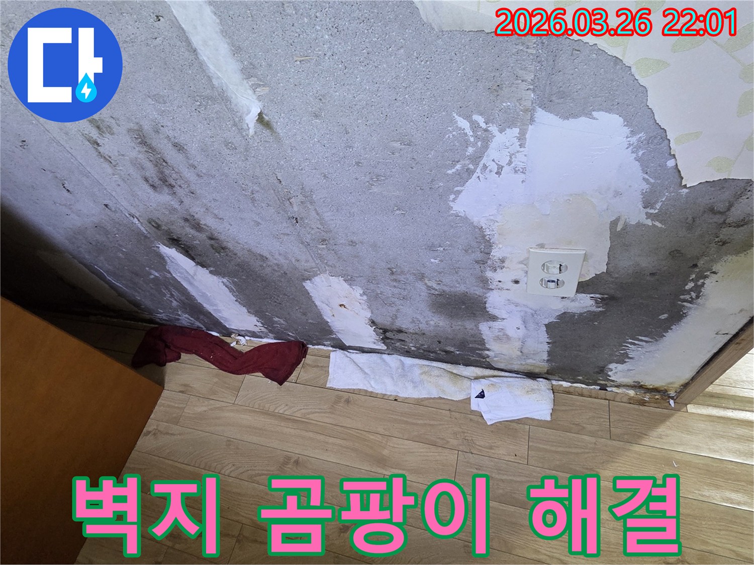 벽지가-벗겨지고-검은-곰팡이가-피어있는-콘크리트-벽면-아래-물기를-흡수하는-수건이-놓인-누수-현장-사진