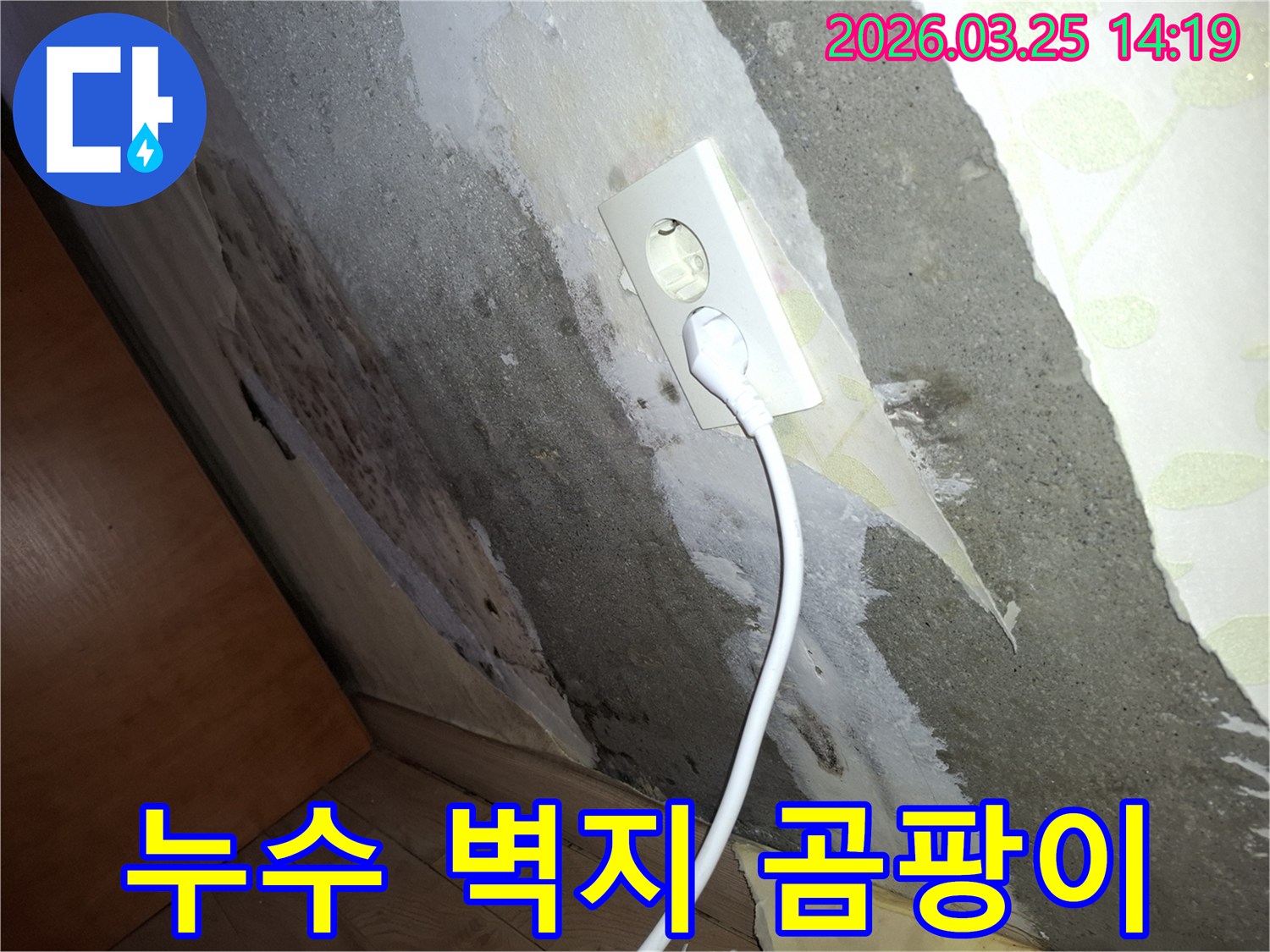 전기-콘센트-옆으로-물이-새어-벽이-손상되고-곰팡이가-피어난-심각한-누수-상황