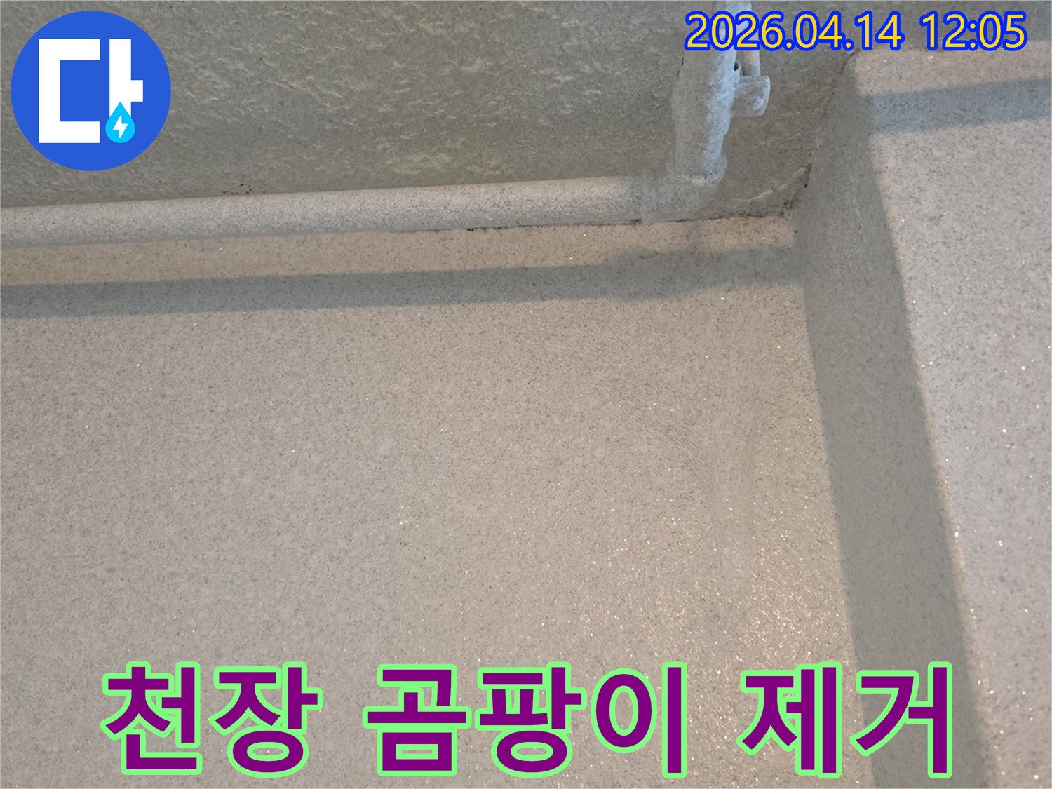 천장 모서리와 배관 주변에 피어난 곰팡이-누수 해결 후 친환경 방식으로 제거됩니다
