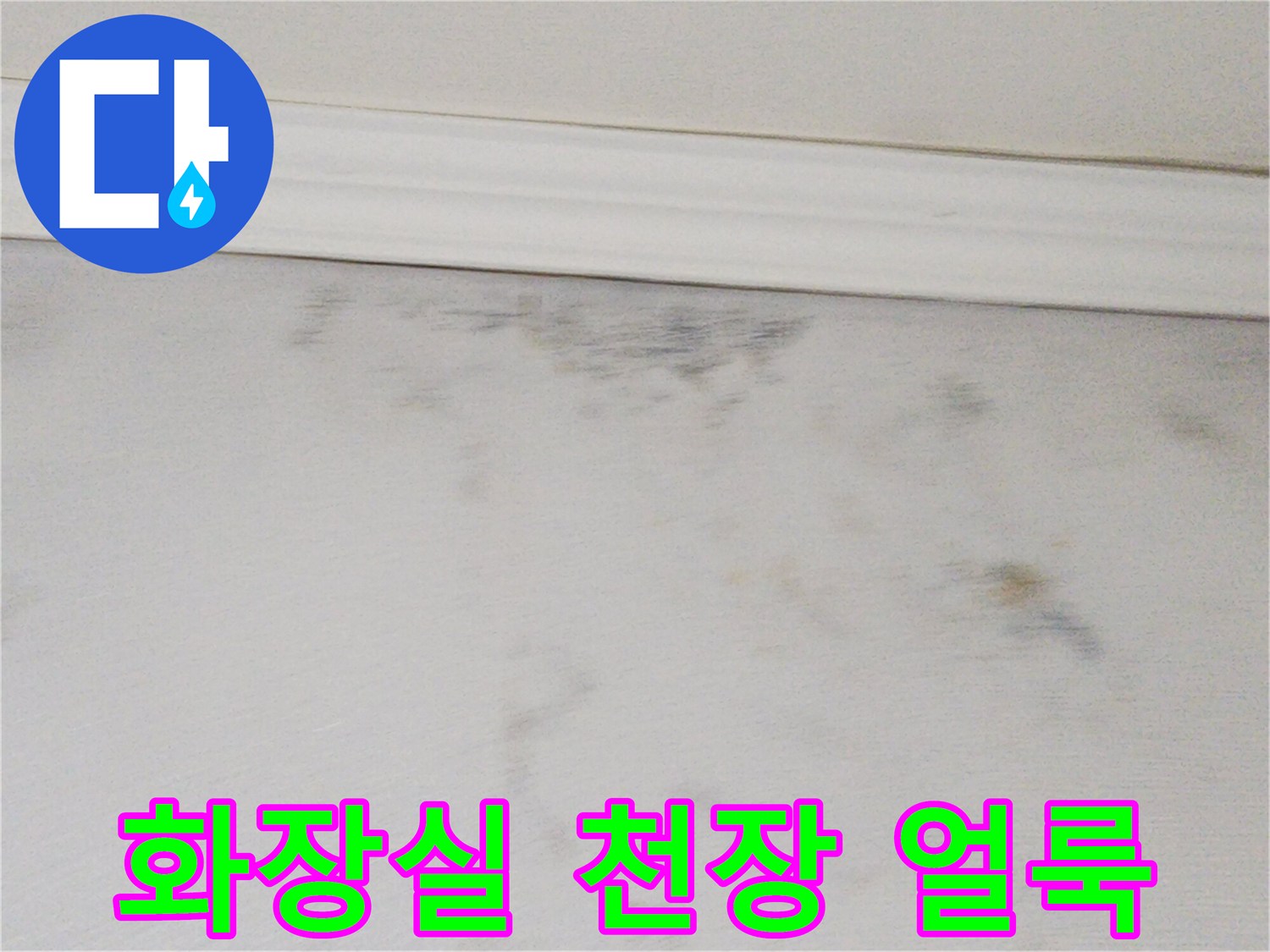 도봉구 화장실 천장 부근에 발생한 젖은 흔적과 얼룩 상태