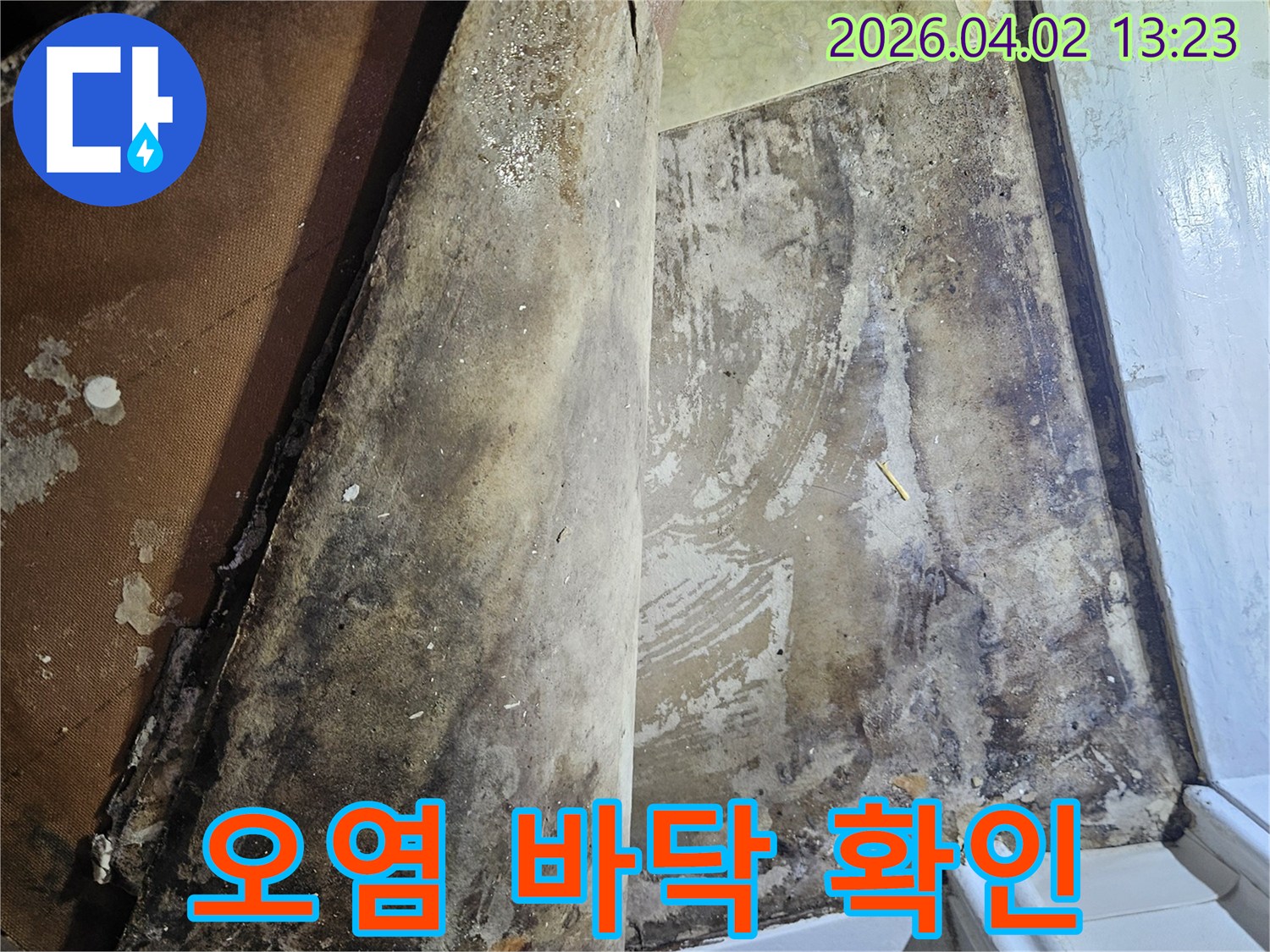 오랜 누수로-손상된 바닥재를 들어내어-아래쪽 곰팡이와 습기를 점검합니다