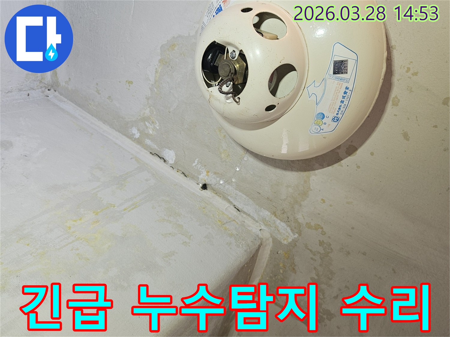 천장-온수기-아래-누수로-인해-천장과-벽면에-심한-물자국과-곰팡이가-발생하여-긴급한-누수탐지-및-수리가-필요한-현장
