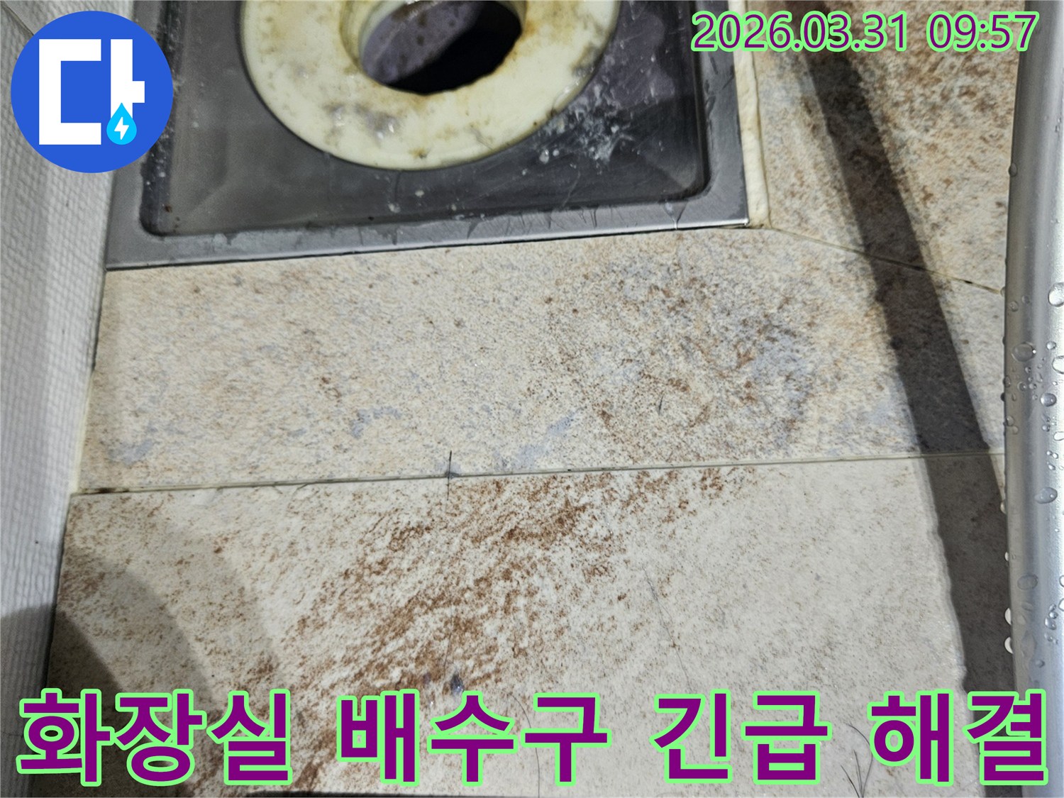 화장실 바닥의 배수구와-머리카락으로 심하게 막힌 트랩-그리고 주변 타일의 오염은-긴급 배수구 해결의 필요성을 보여줍니다.