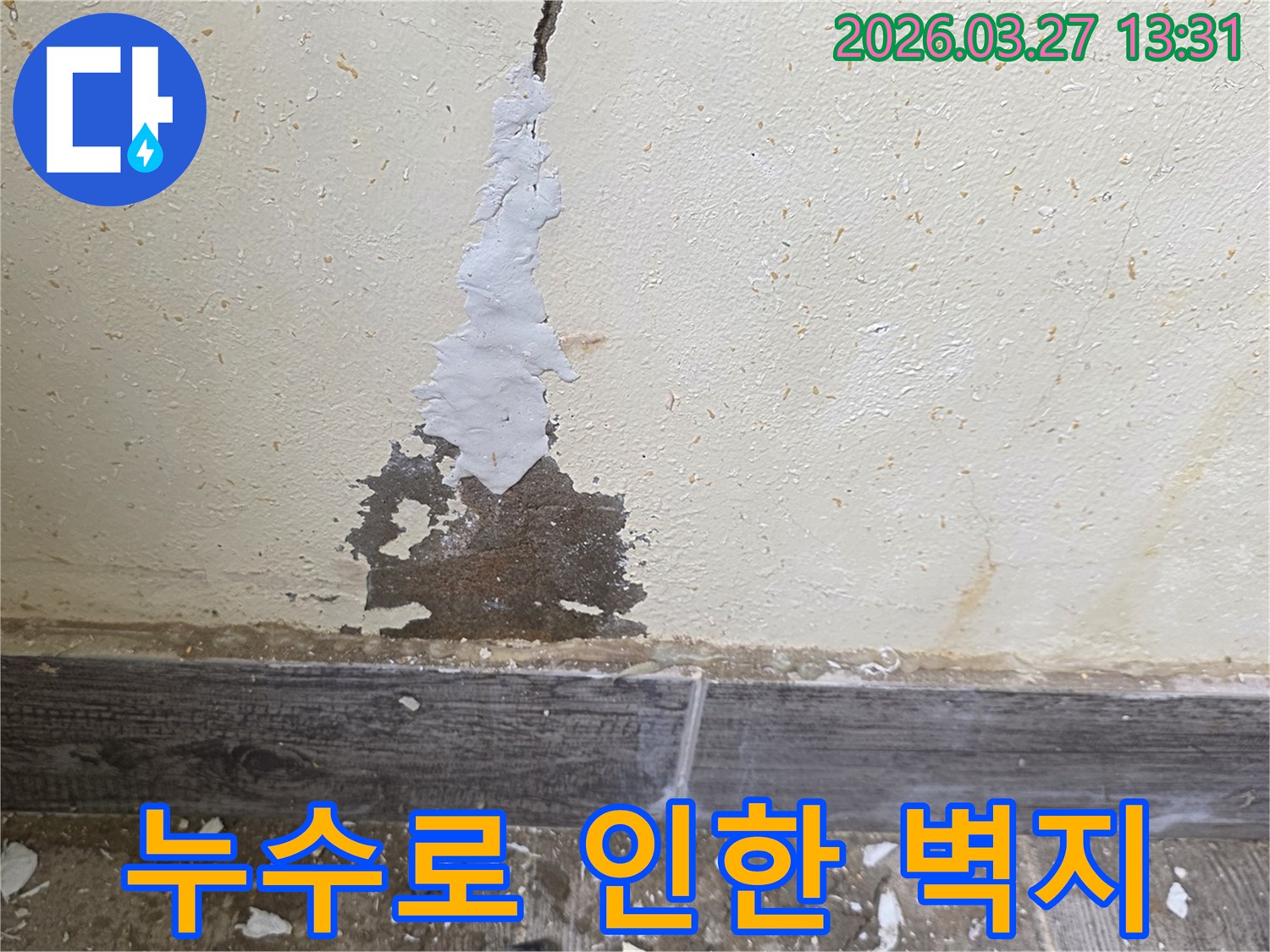 물에 젖어 벗겨진 벽지와 곰팡이가 생긴 벽면을 나타내는 사진